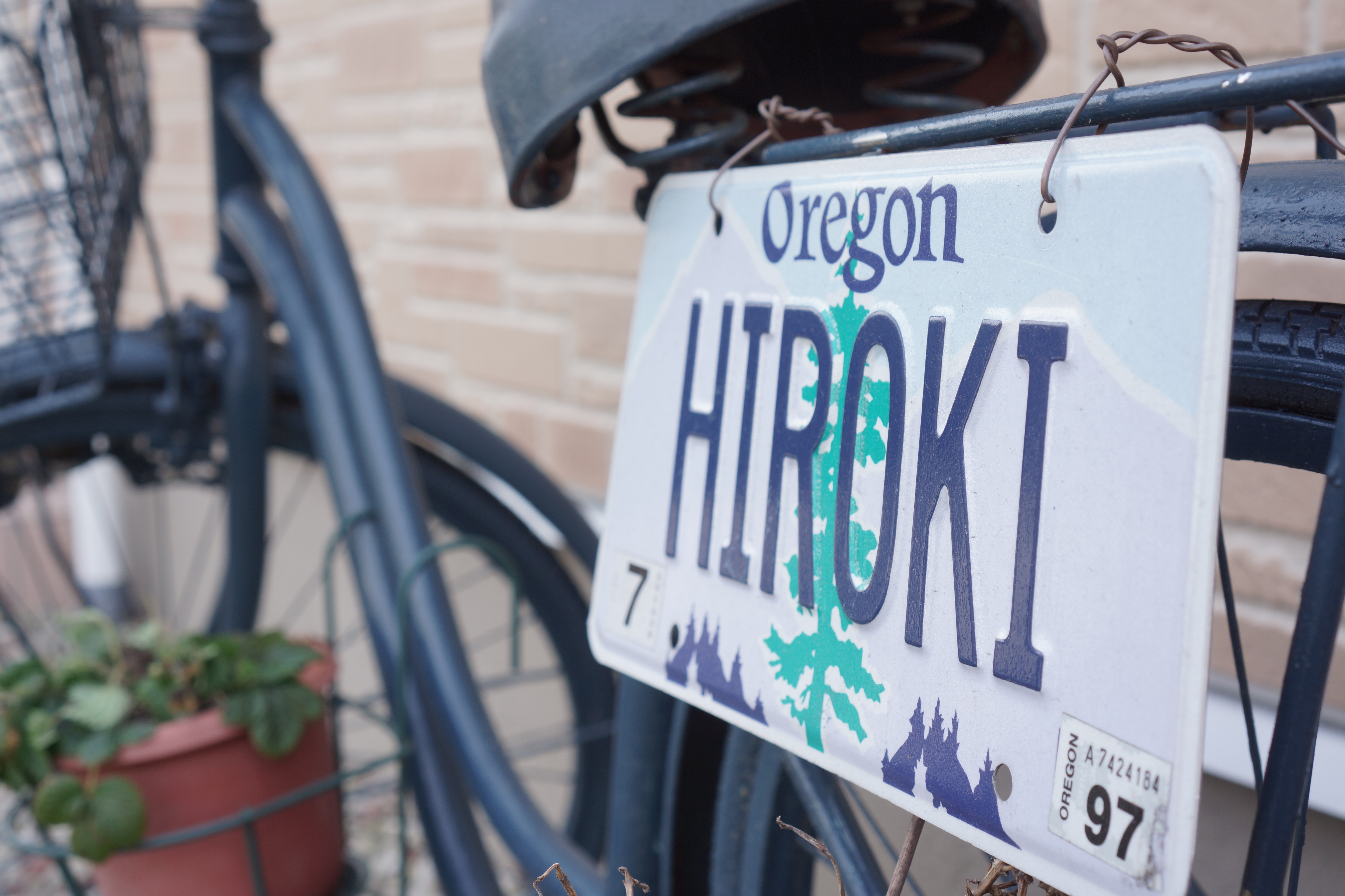 NEX-7 / E 35mm F1.8 OSS / 約4.8MB / 6,000×4,000 / 1/60秒 / F5.6 / +1EV / ISO100 / 絞り優先AE / WB：オート / 35mm