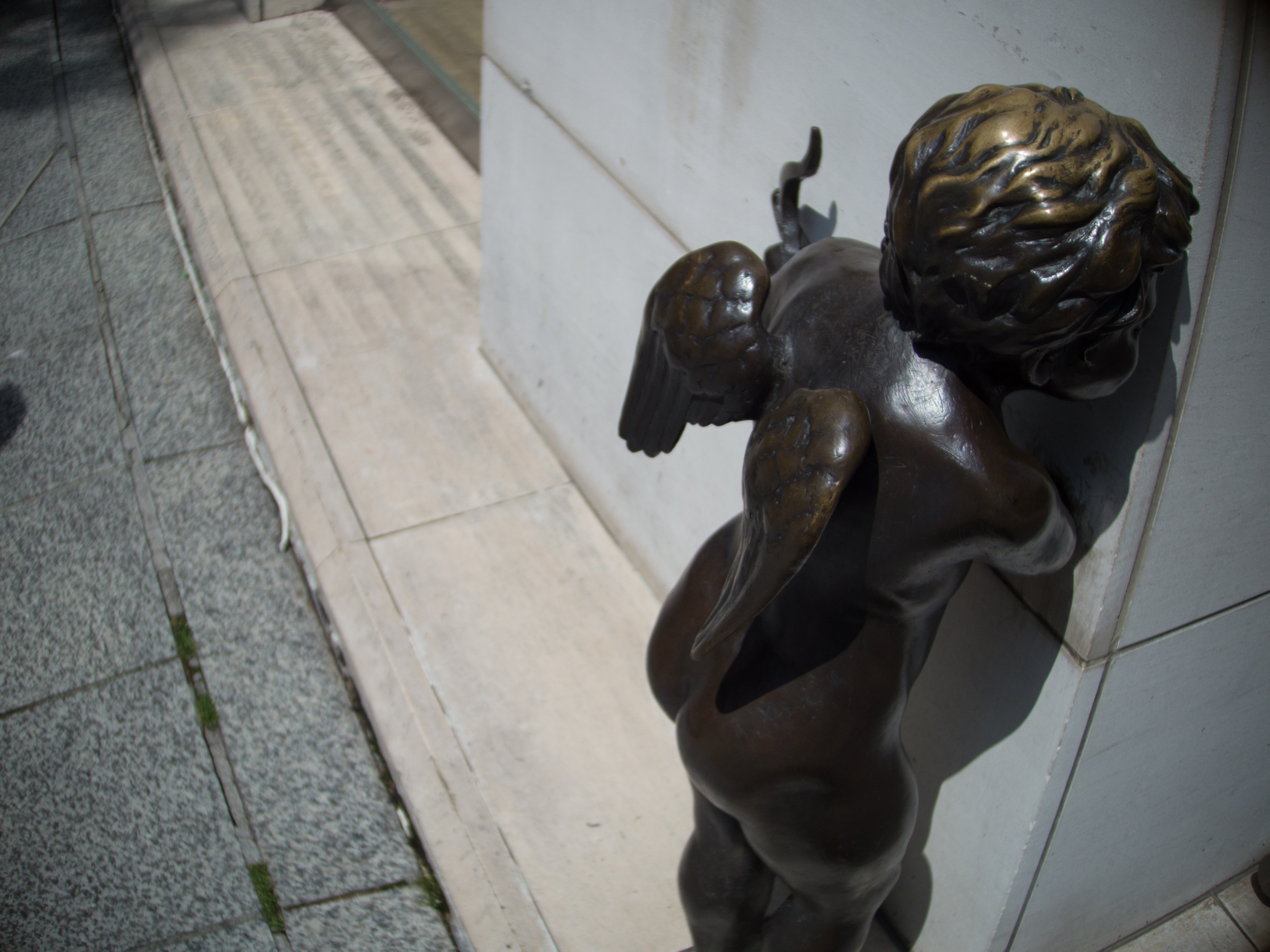 PENTAX Q10 / Ana8200 8mm F1.1 / 4,000×3,000 / 1/6,400秒 / F1.1 / 0EV / ISO100 / WB:オート / 8mm