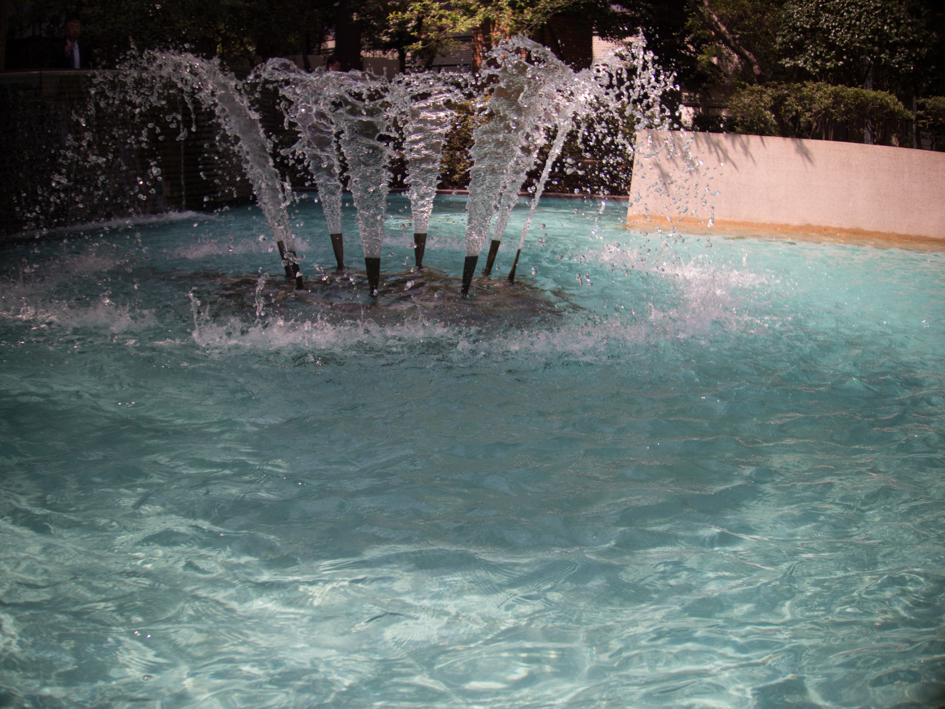 PENTAX Q10 / Ana8200 8mm F1.1 / 4,000×3,000 / 1/2,000秒 / F1.1 / 0EV / ISO100 / WB:オート / 8mm