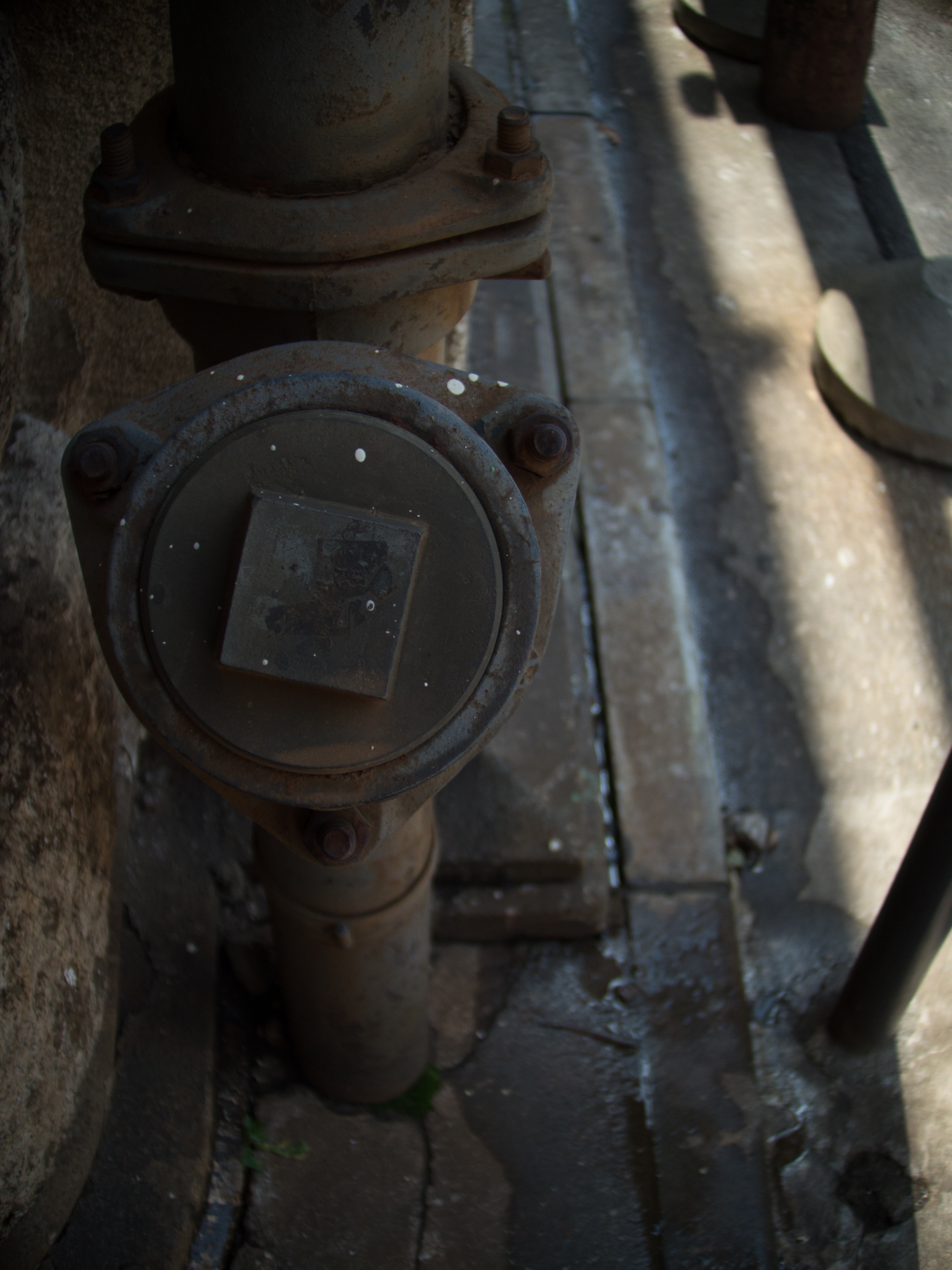 PENTAX Q10 / Ana8200 8mm F1.1 / 4,000×3,000 / 1/640秒 / F1.1 / -1.7EV / ISO100 / WB:オート / 8mm