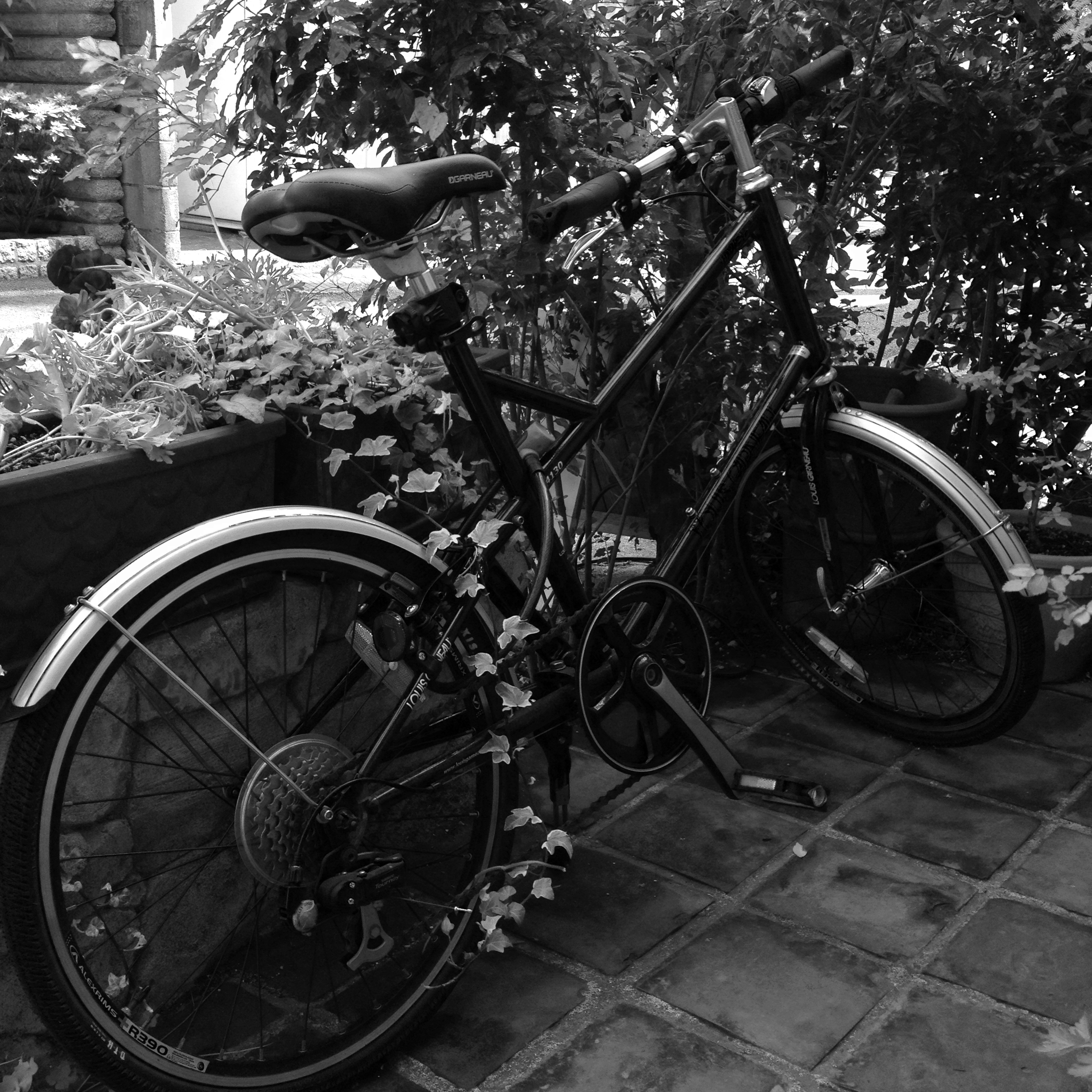 グリーンのフィルターを掛けてツタにアクセントを