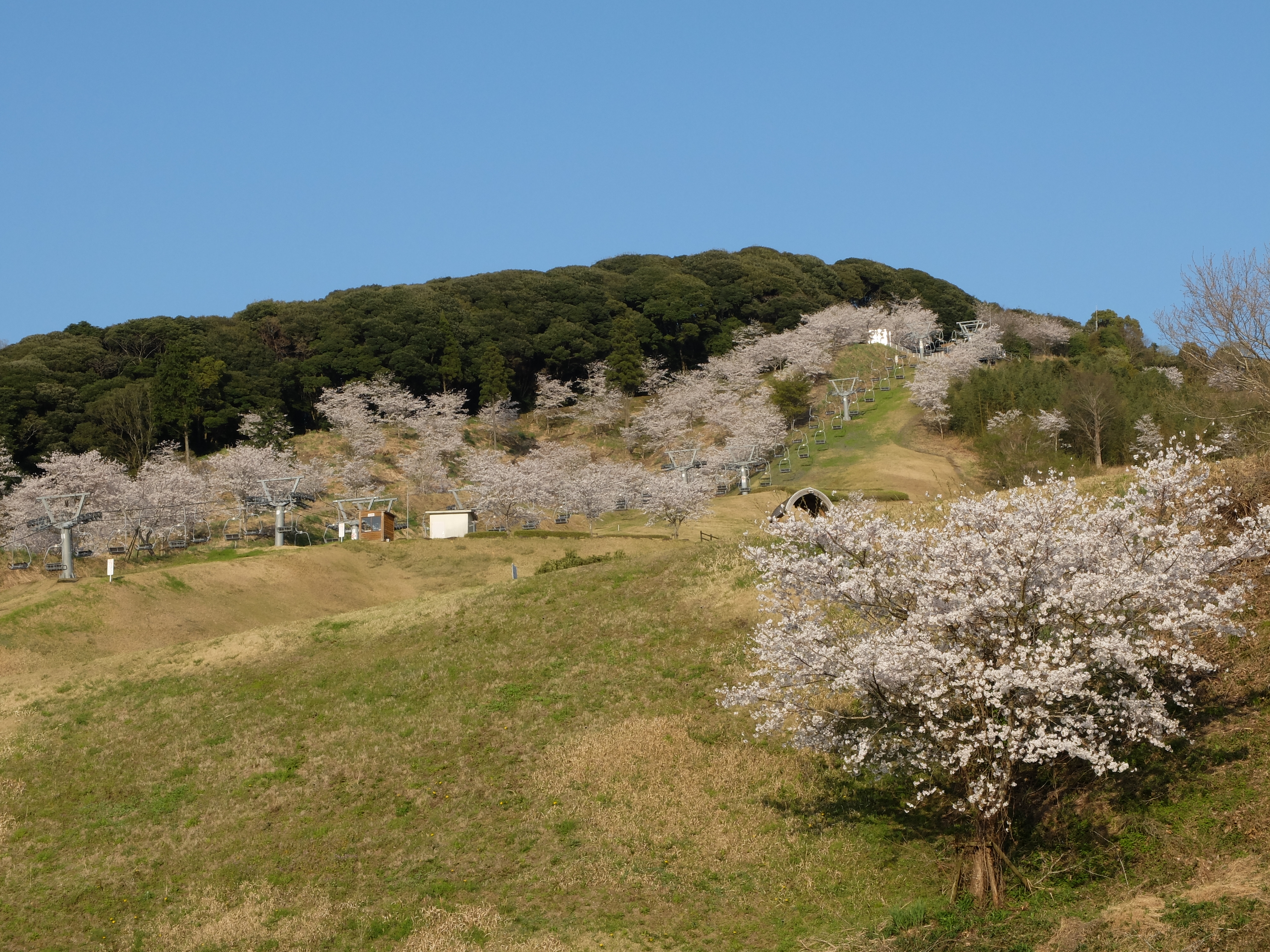 X20 / 約4.9MB / 4,000×3,000 / 1/250秒 / F8 / +0.3EV / ISO100 / 19.5mm
