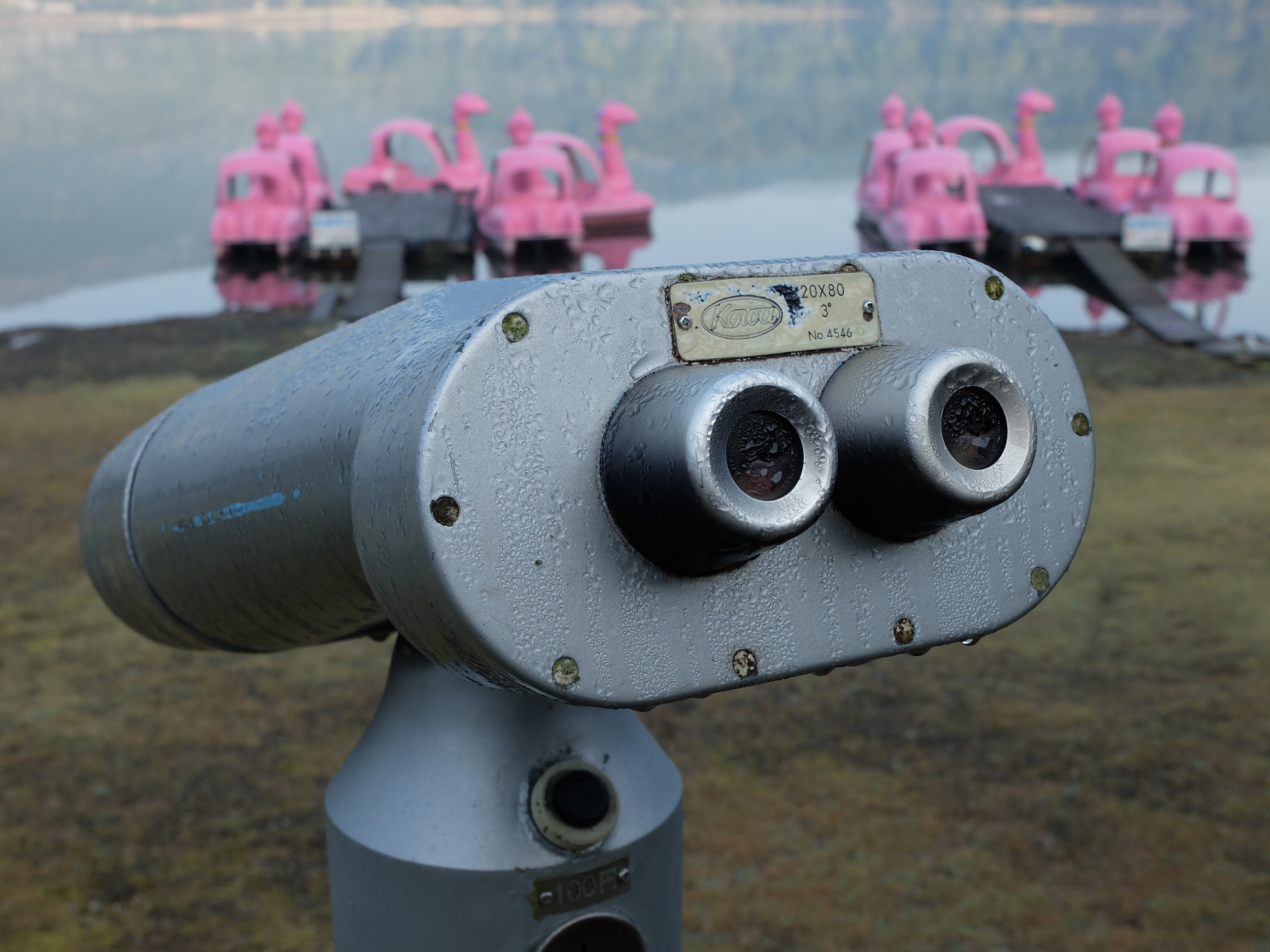 X20 / 約3.6MB / 4,000×3,000 / 1/340秒 / F4 / 0EV / ISO100 / 11.3mm