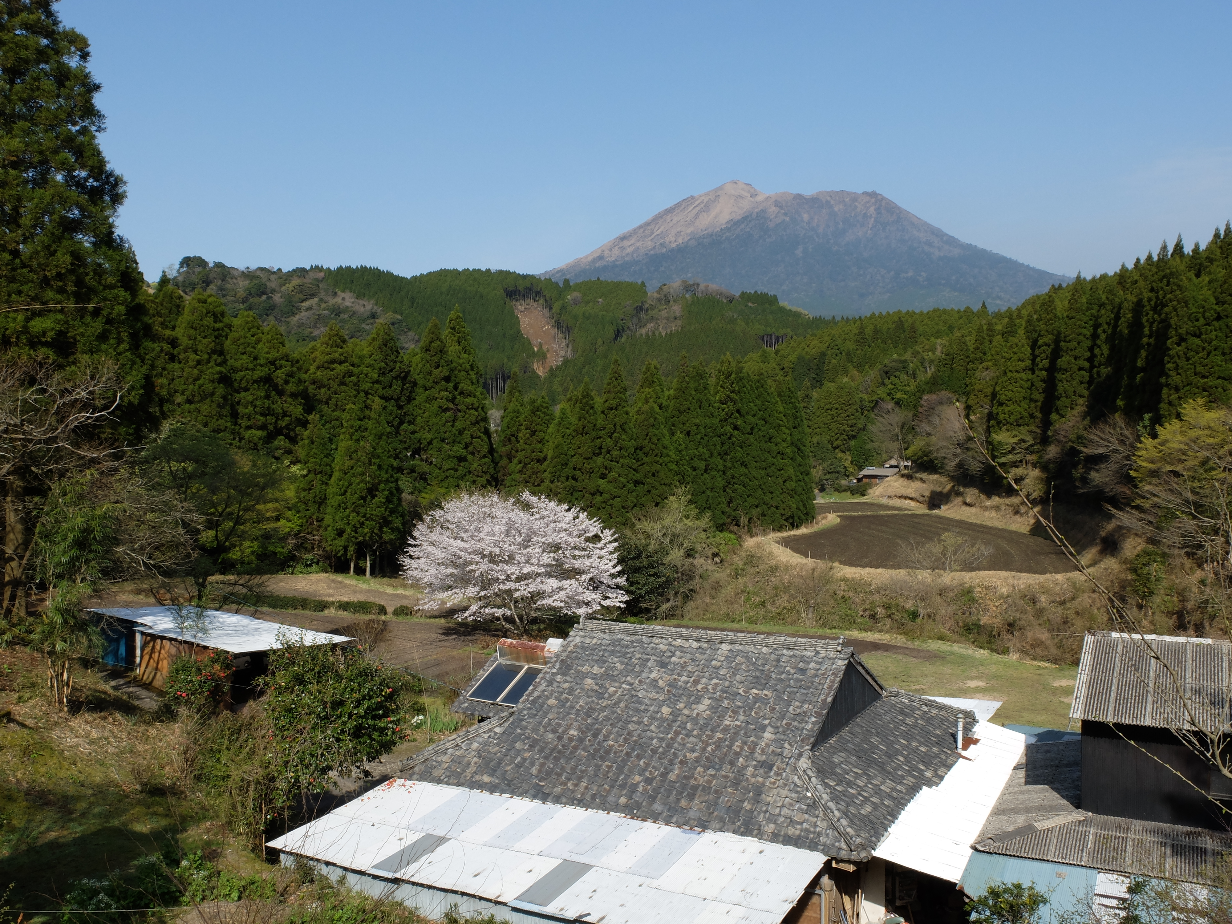 X20 / 約5.1MB / 4,000×3,000 / 1/350秒 / F8 / 0EV / ISO100 / 8.6mm