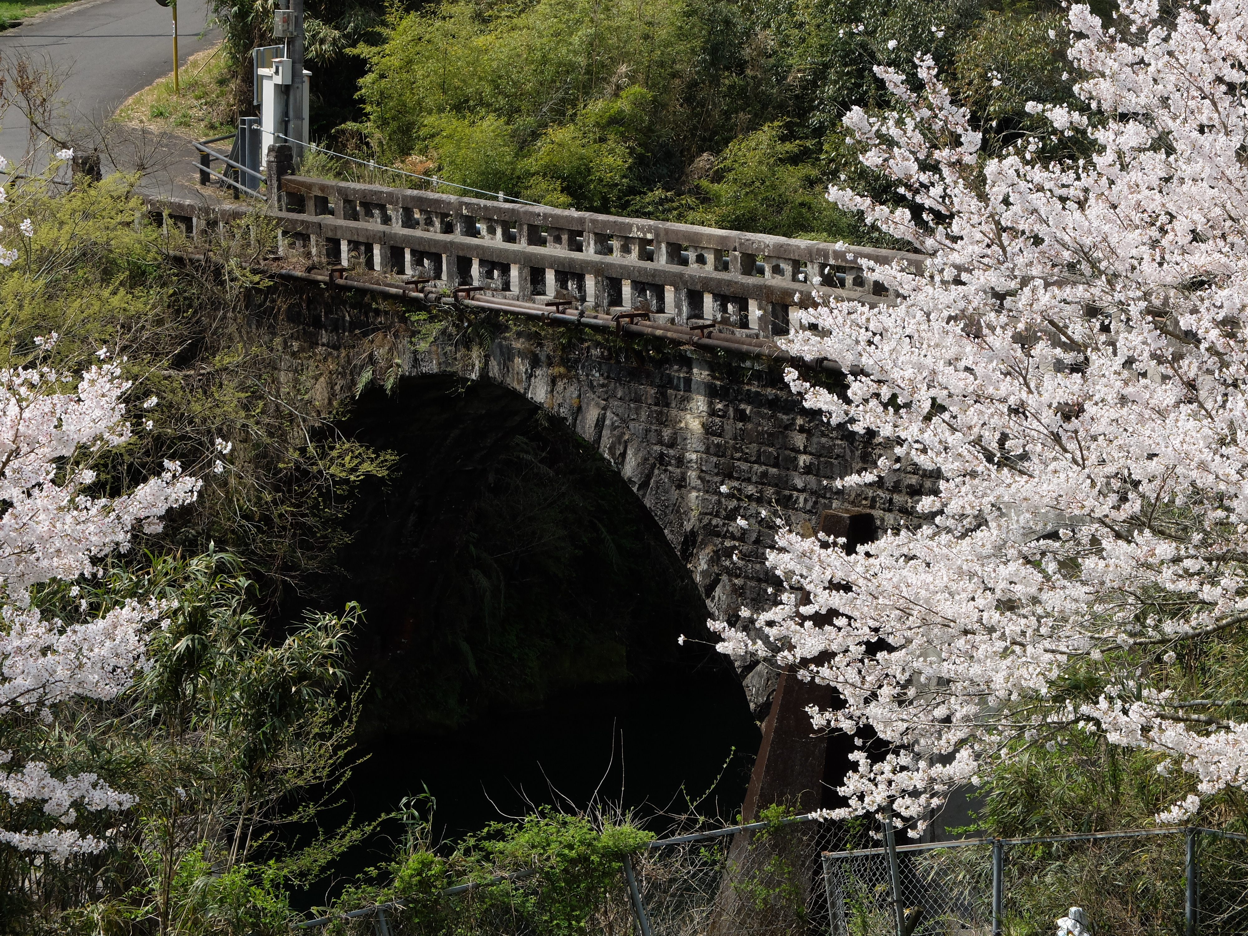 X20 / 約4.9MB / 4,000×3,000 / 1/480秒 / F5.6 / -0.3EV / ISO100 / 28.4mm