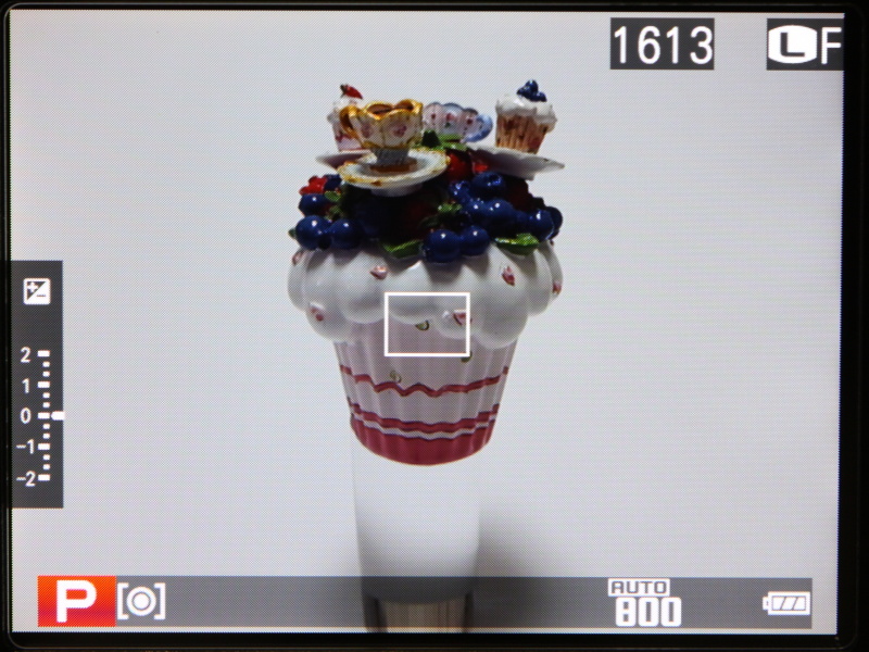 液晶モニターでの撮影画面に情報を表示したところ