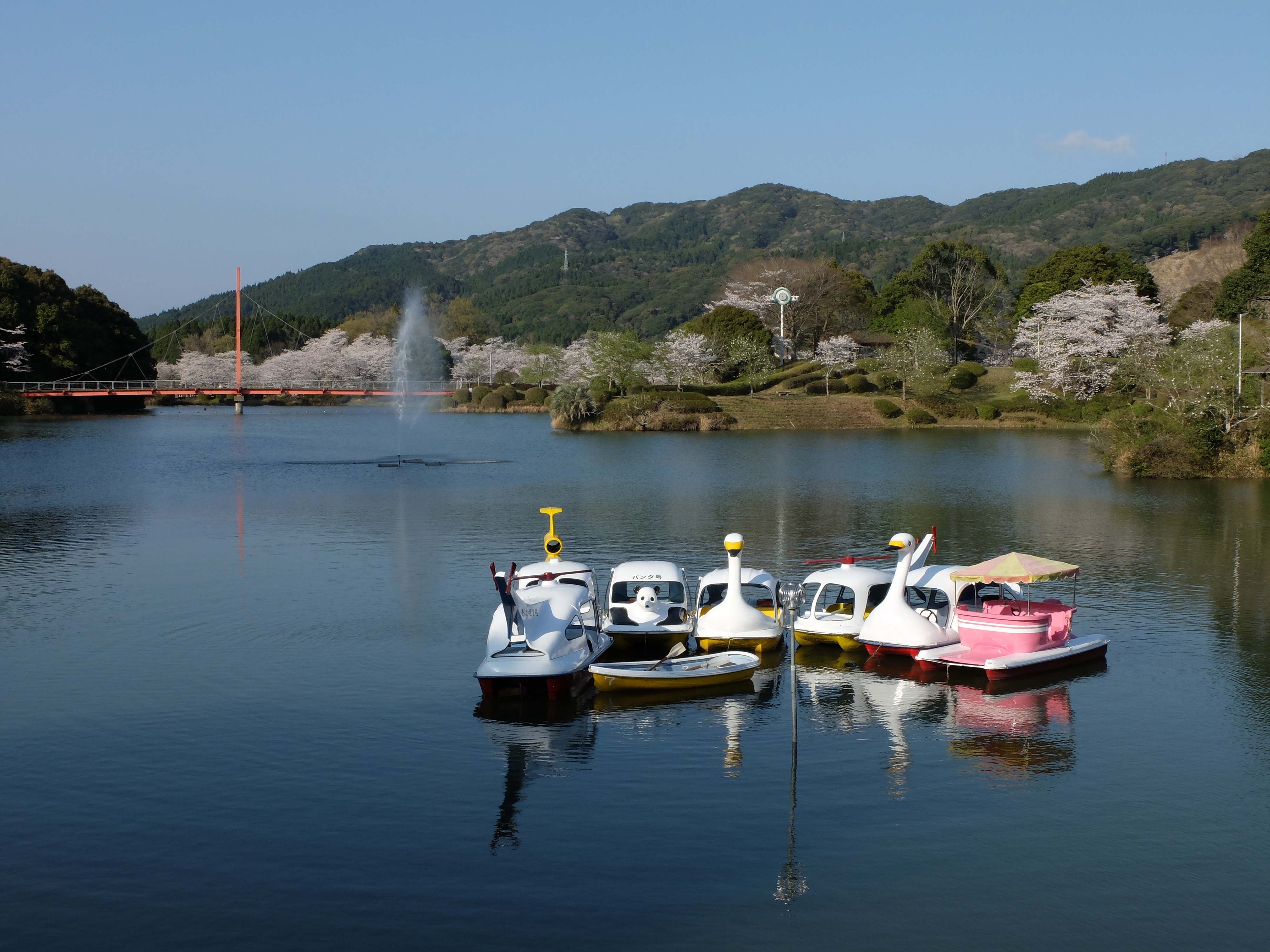 X20 / 約3.8MB / 4,000×3,000 / 1/340秒 / F8 / -0.3EV / ISO100 / 11.3mm