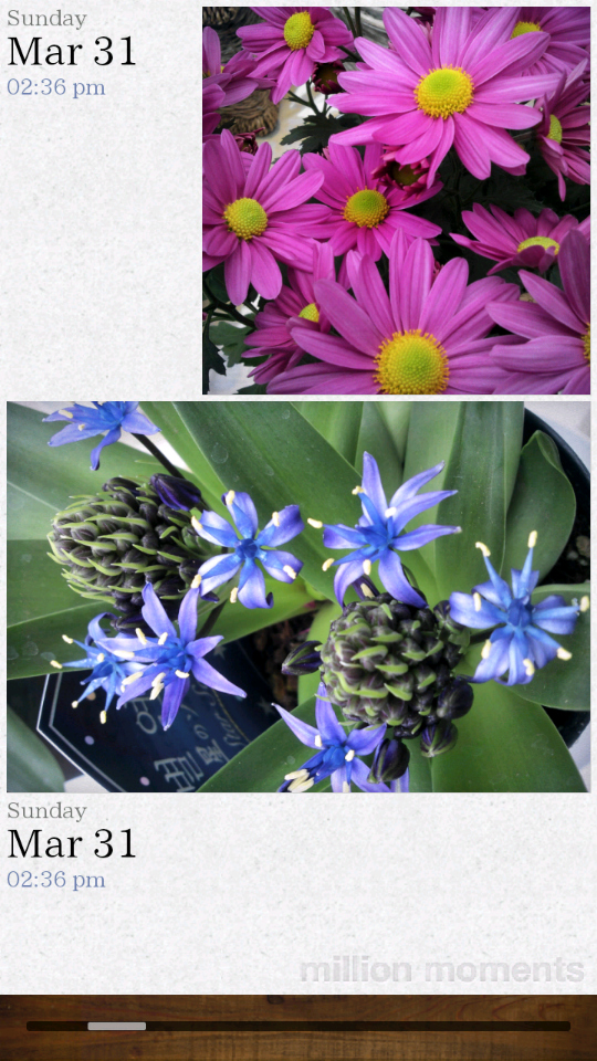 アルバムを開くと、ランダムにレイアウトされた写真を確認できる