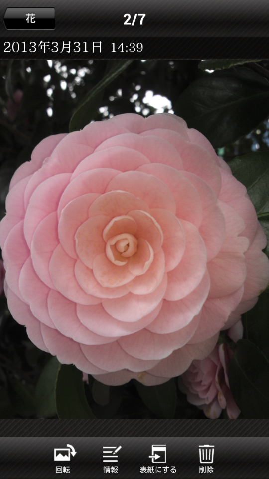 アルバム表示中に画像部をタップすると、画像メニューが表示される