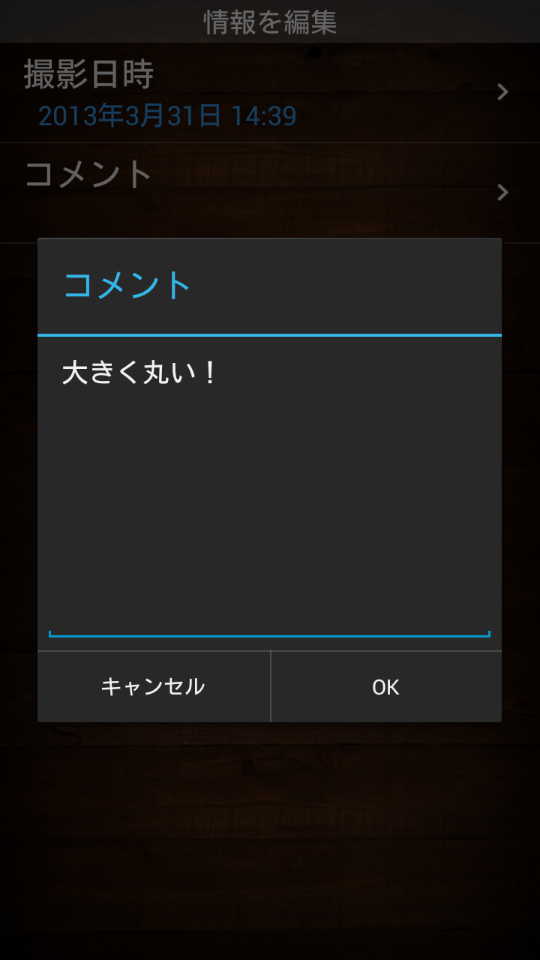 画像メニューの「情報」→「コメント」では、写真のキャプションが入力可能だ