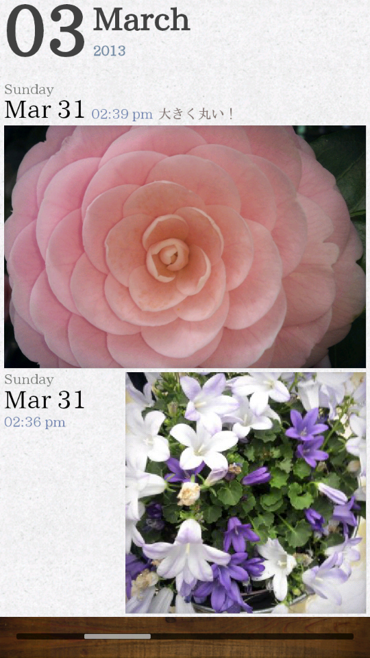 キャプションを入力しておくと、アルバムを確認した際、画像と共に表示される