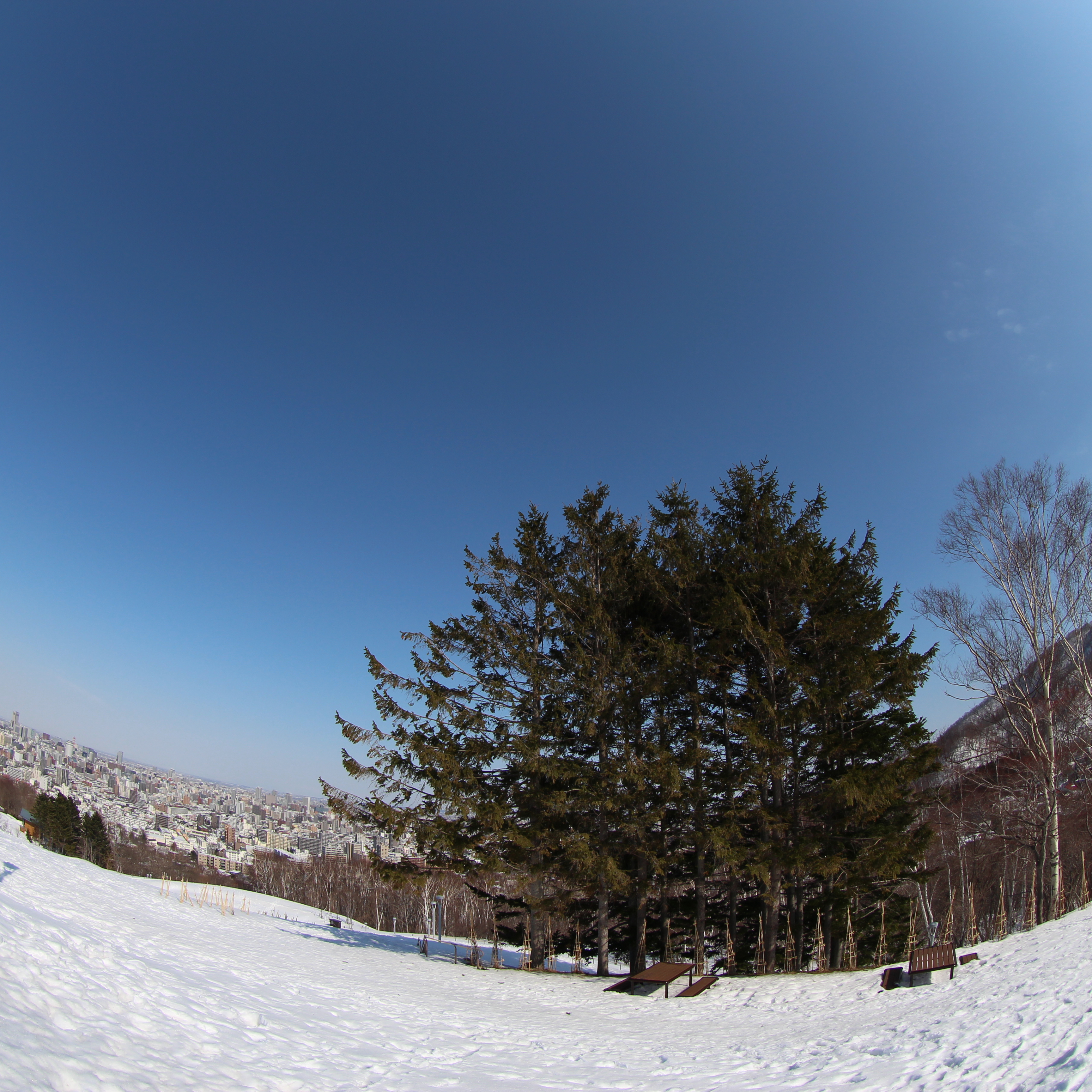 空を多めにフレーミングすると、地平線がへこんでいるみたいにぐんにゃり曲がる。このあたりは魚眼レンズらしい写り。EOS M / EF 8-15mm F4 L Fisheye USM / 絞り優先AE / 3,456×3,456 / 1/640秒 / F8 / -1EV / ISO100 / WB：オート / 8mm（12.8mm相当）