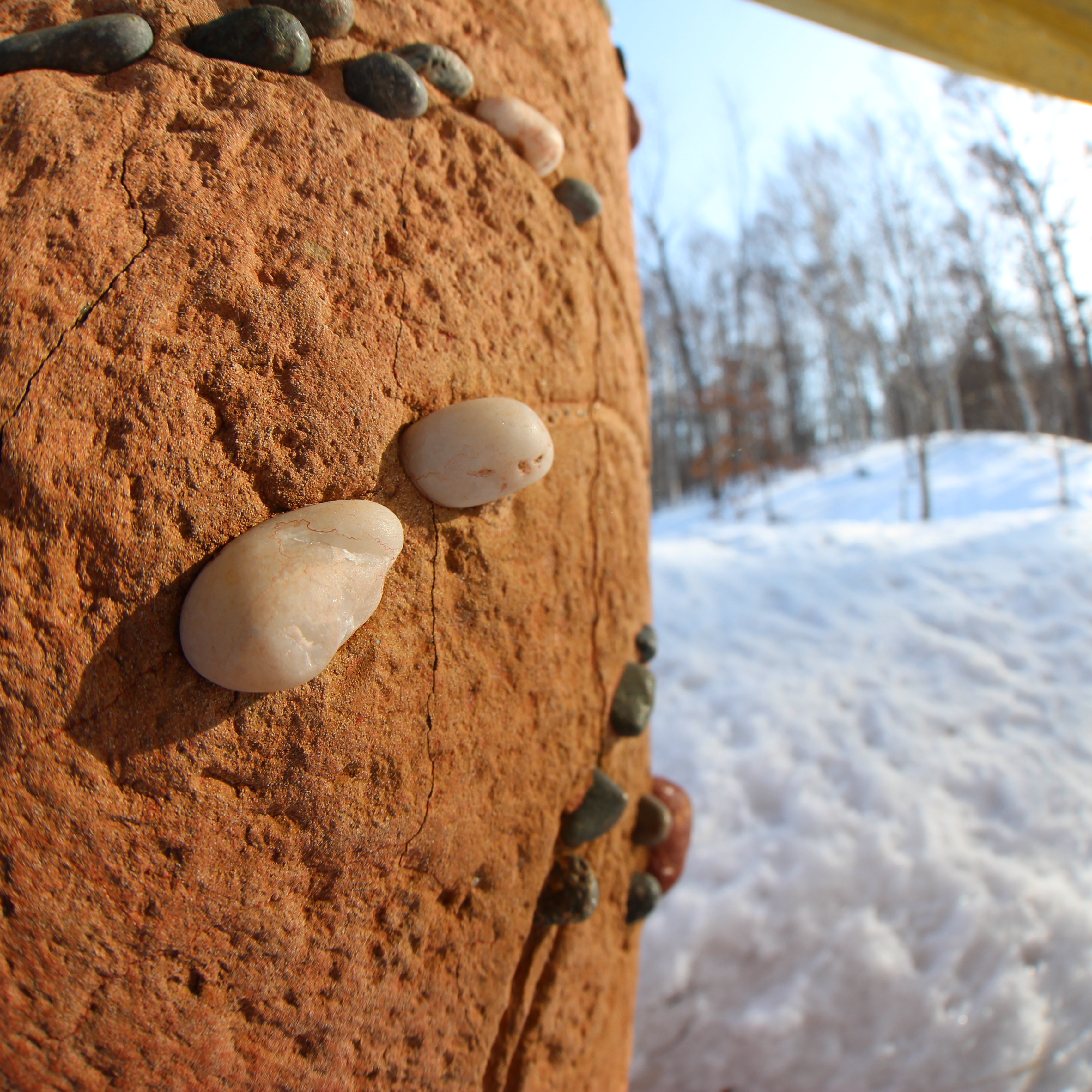 最短撮影距離は0.15m。と言っても、撮像面から前玉の頂点まで13cm近くあるから、レンズ前数cmのクローズアップがねらえる。EOS M / EF 8-15mm F4 L Fisheye USM / 絞り優先AE / 3,456×3,456 / 1/125秒 / F7.1 / 0.3EV / ISO100 / WB：オート / 8mm（12.8mm相当）