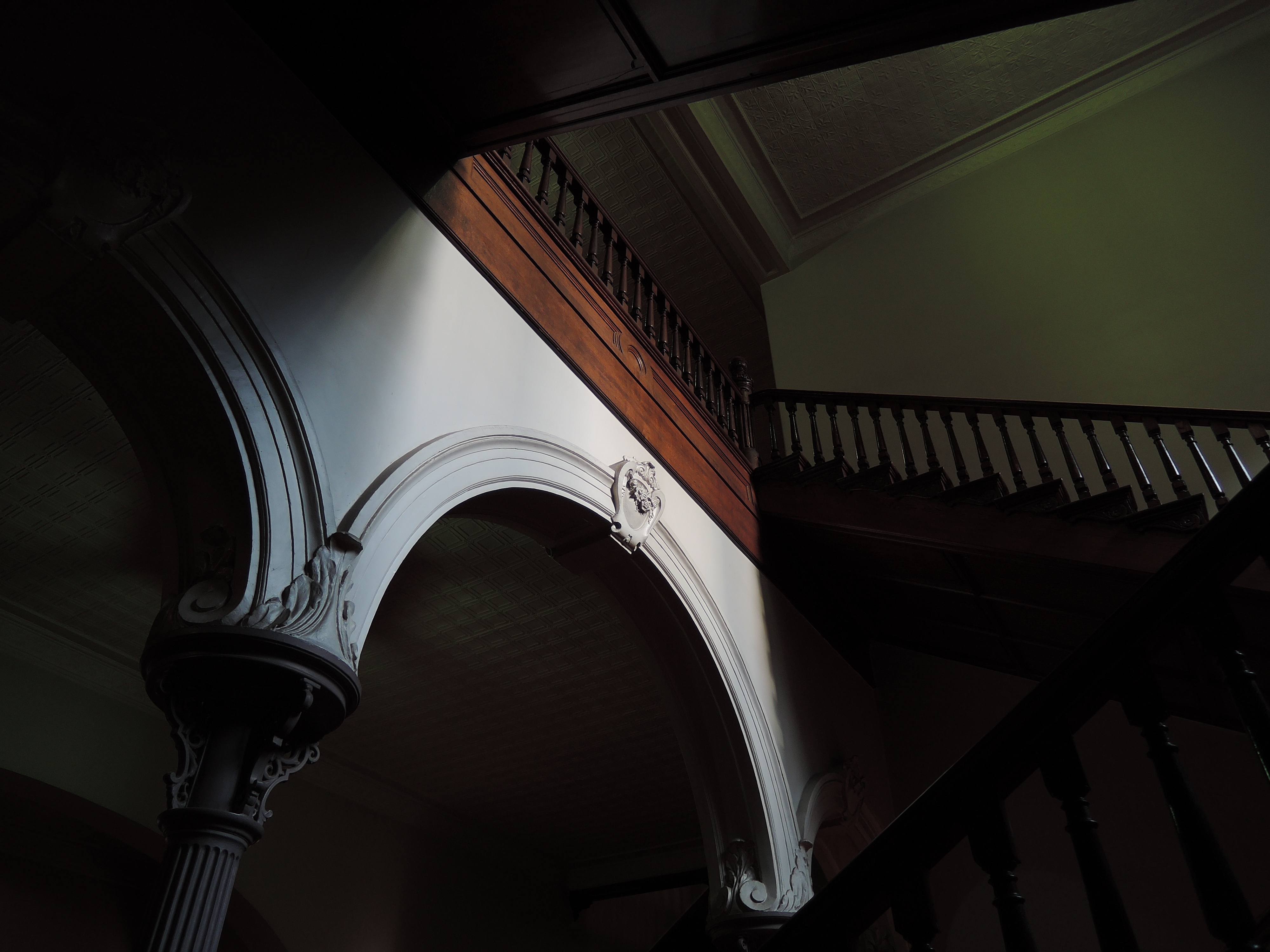 至近距離ではアマさのある広角端の絞り開放だが、このぐらいの距離なら思った以上にシャープ。安心して開けて使えそう。COOLPIX P330 / 4,000×3,000 / 絞り優先AE / 1/80秒 / F1.8 / -1EV / ISO80 / WB：AUTO1 / 5.1mm（24mm相当）