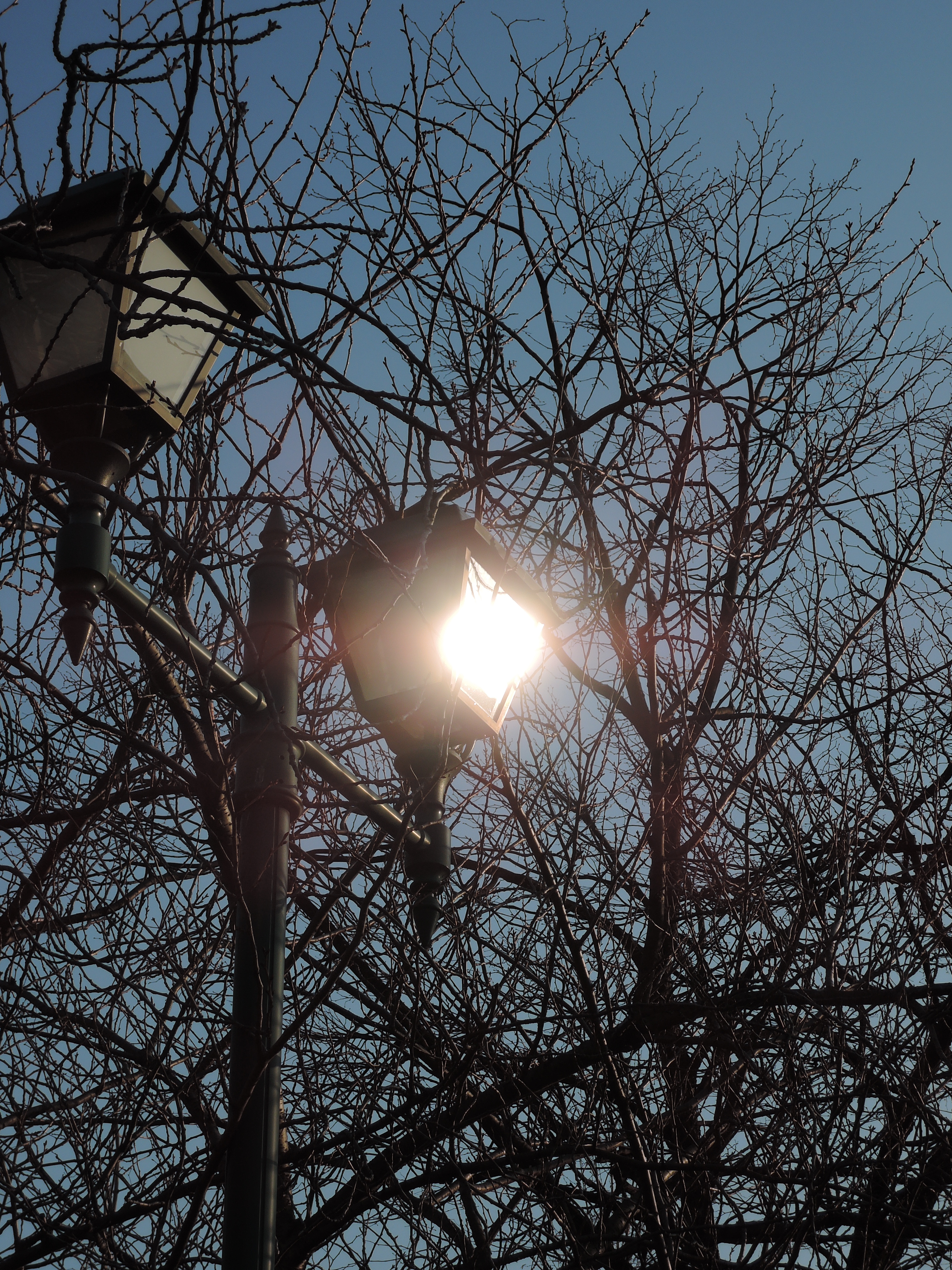 意地悪して、太陽の反射を入れ込んでみた。ちょっとフレアは多めかなという印象。COOLPIX P330 / 4,000×3,000 / 絞り優先AE / 1/1,000秒 / F4.5 / -0.3EV / ISO80 / WB：AUTO1 / 18.2mm（85mm相当）