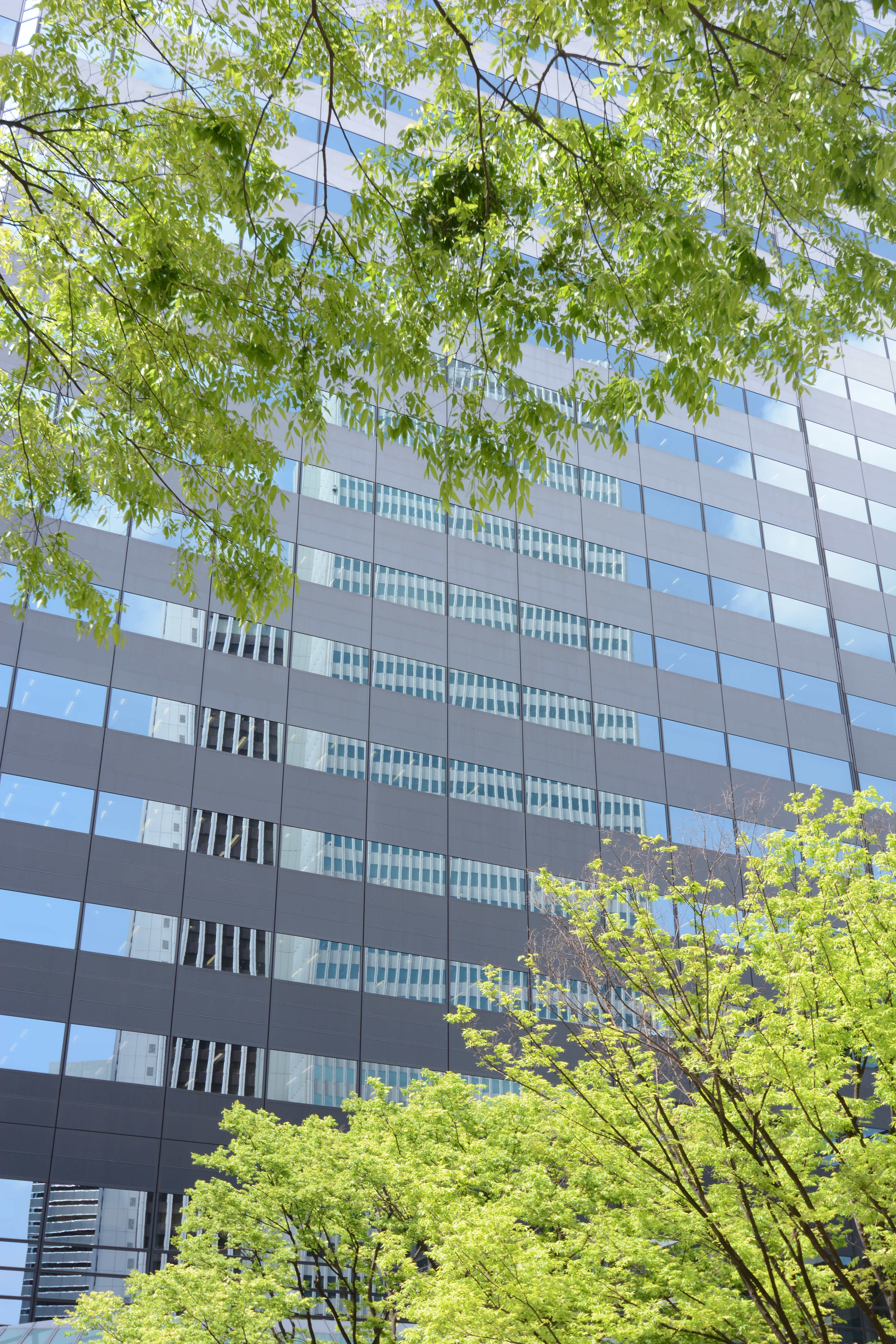 D7100 / AT-X 12-28 PRO DX / 約16.6MB / 4,000×6,000 / 1/80秒 / F8 / -0.3EV / ISO100 / 絞り優先AE / WB：オート / 28mm