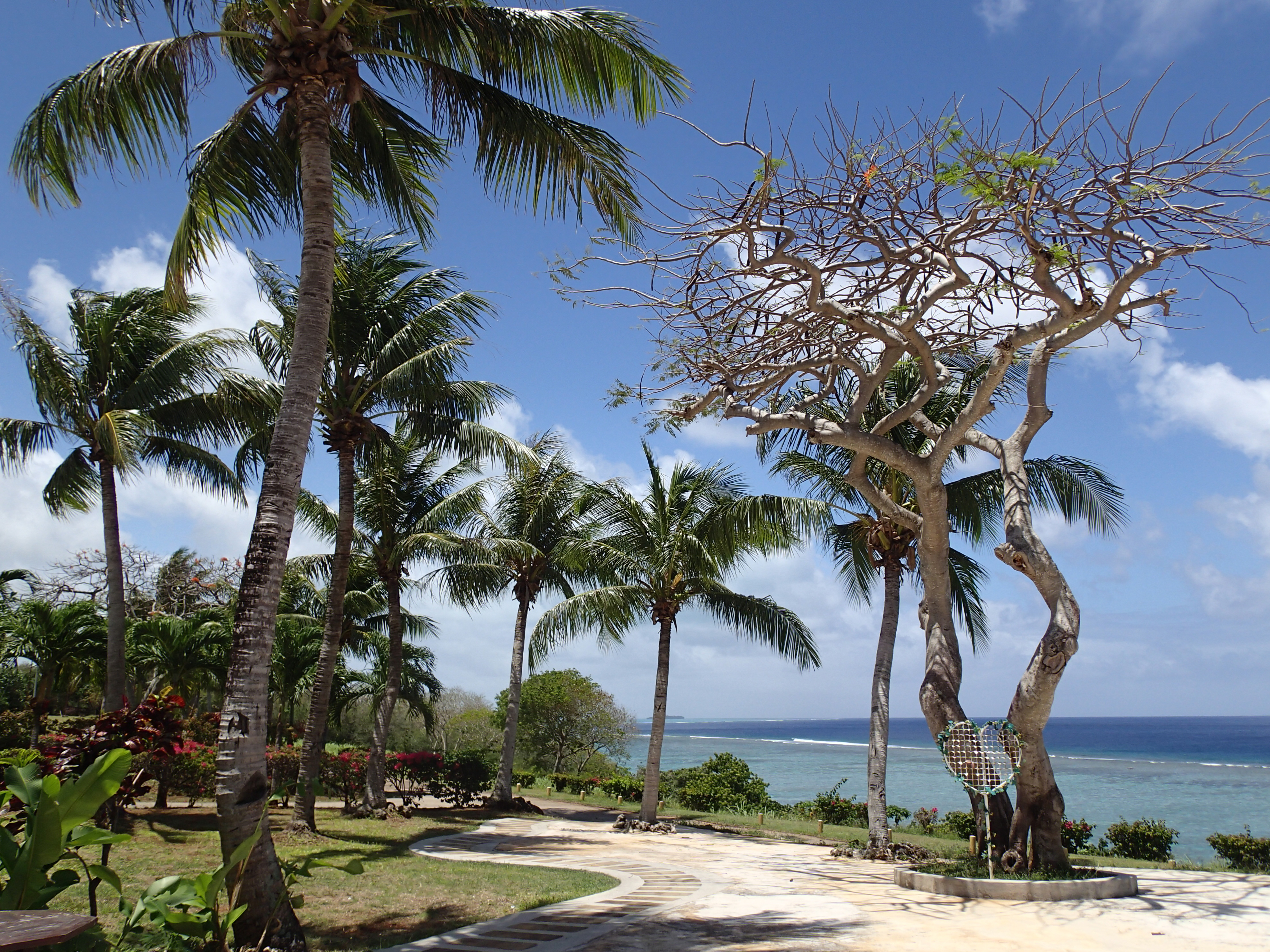 ガーデン内。左からプログラムオート、iAUTO、マジックフィルター「ポップ」