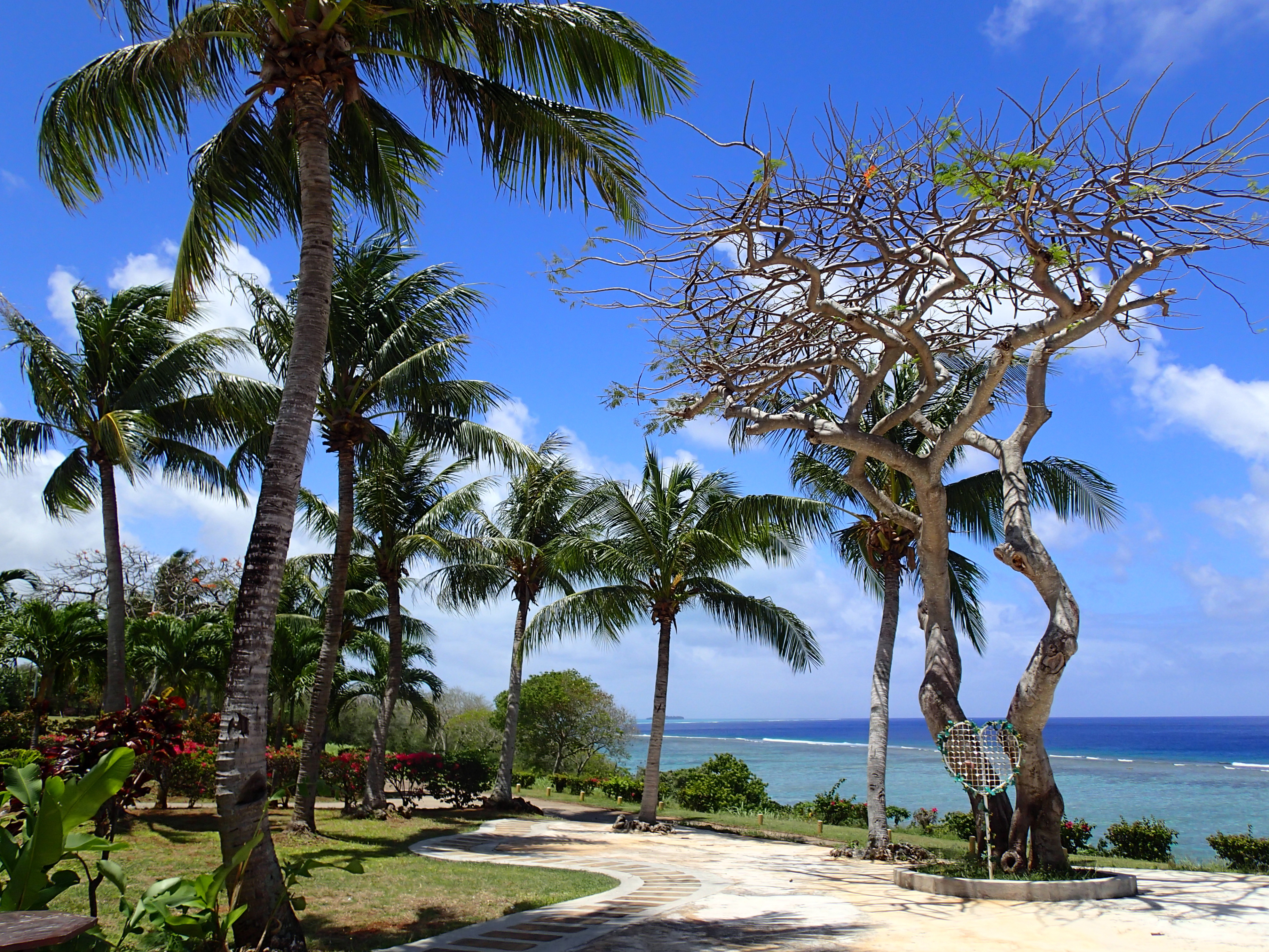 ガーデン内。左からプログラムオート、iAUTO、マジックフィルター「ポップ」