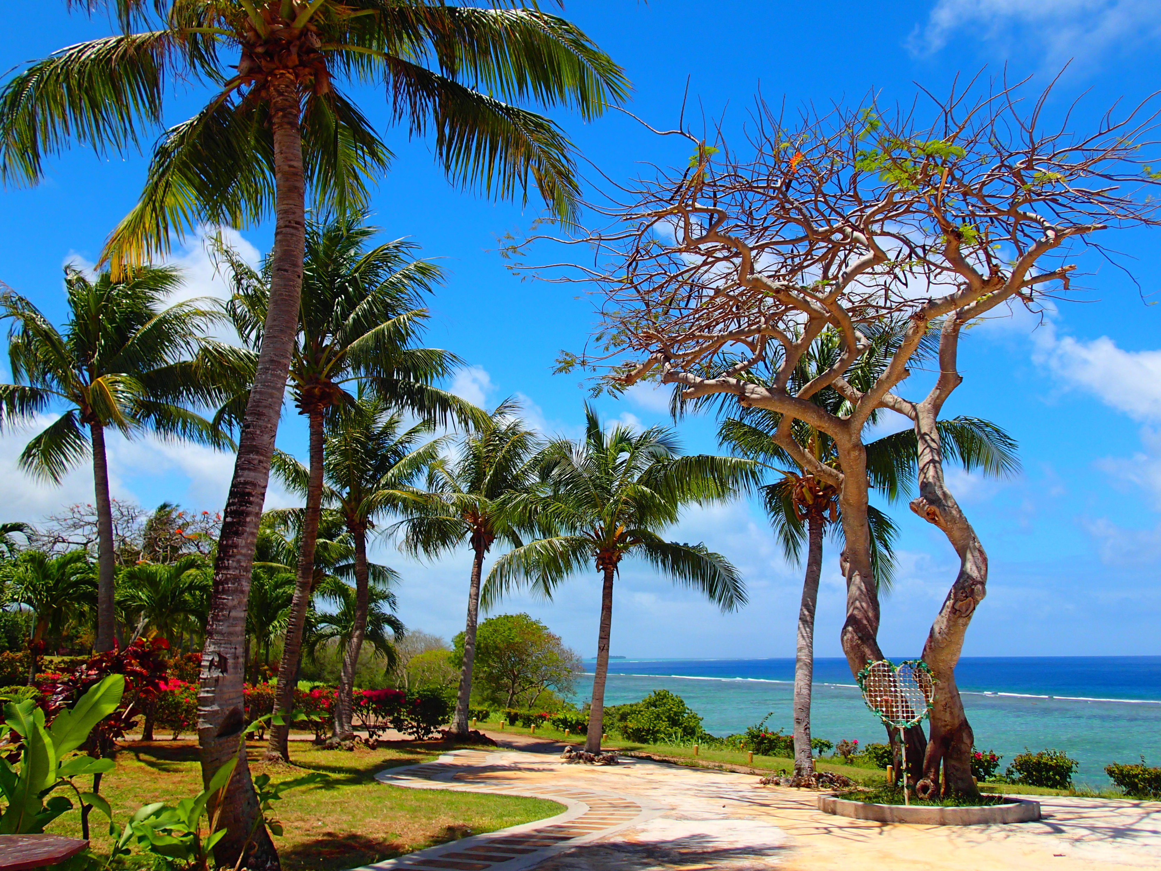 ガーデン内。左からプログラムオート、iAUTO、マジックフィルター「ポップ」