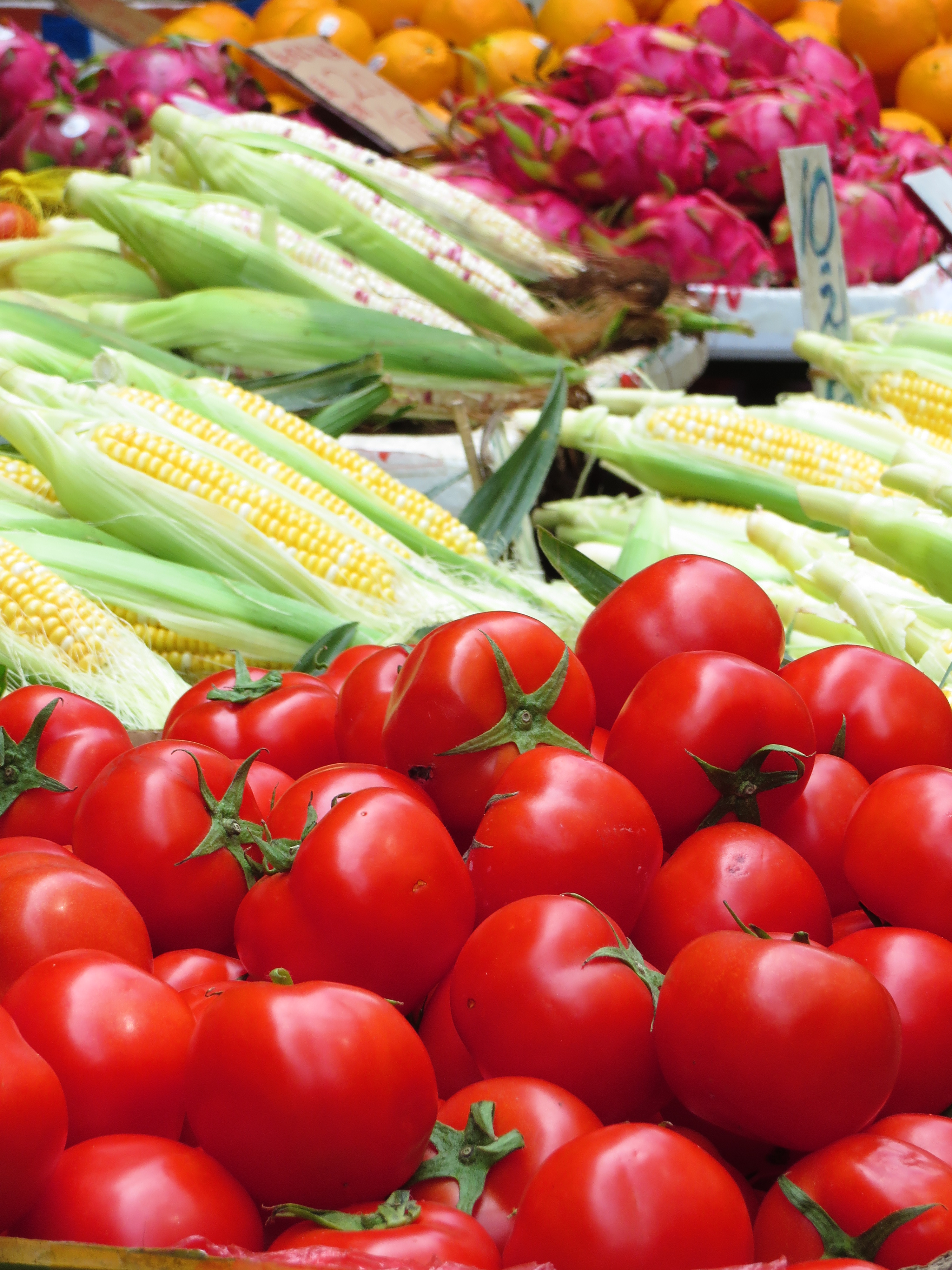 PowerShot SX280 HS / 2.6MB / 3,000×4,000 / 1/125秒 / F5 / 0EV / ISO100 / 23.6mm