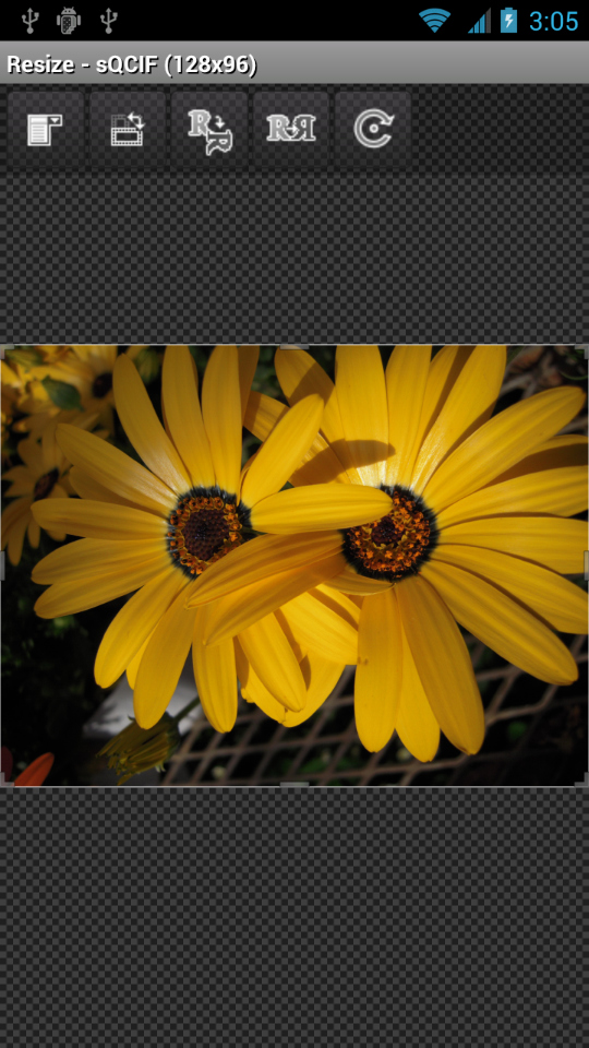 画面上に並ぶアイコンが本アプリの主要機能。左から「出力設定選択」「出力縦横比の決定」「画像の回転および反転」「ミラー」「回転固定」