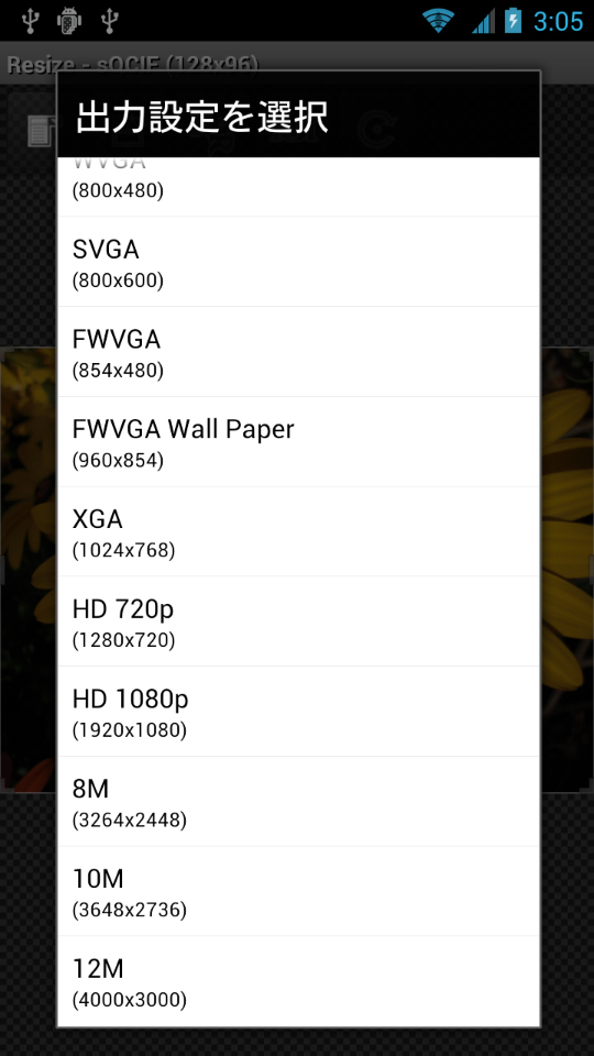出力サイズとして、「sQCIF（128×96）」〜「12M（4000×3000）」の15種類がプリセットされている