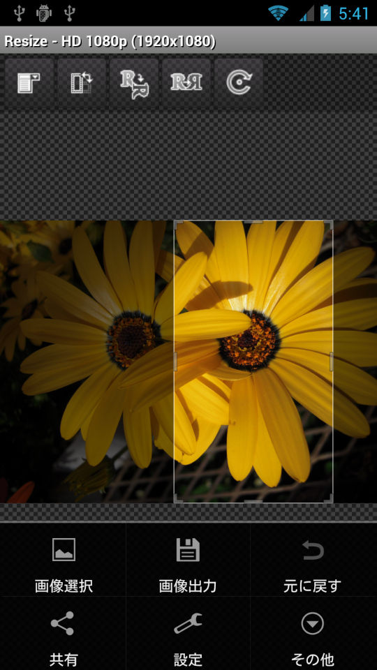 出力サイズを選択すると、サイズに合わせた範囲選択枠が表示される。スライドして切り出し（トリミング）ポジションを設定しよう。「画像出力」をタップすることで、設定した内容が保存される