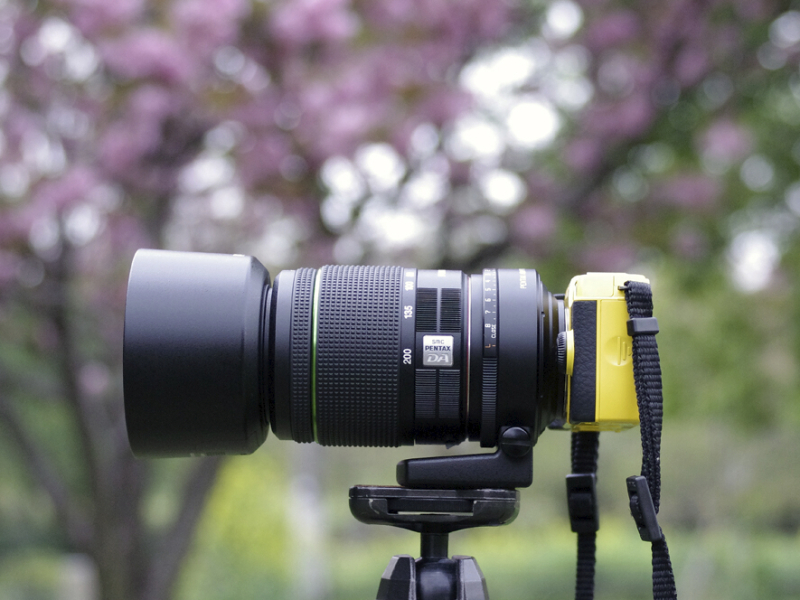 広角側の状態。フードが長いので軽さのわりにはごついイメージになっていますね。