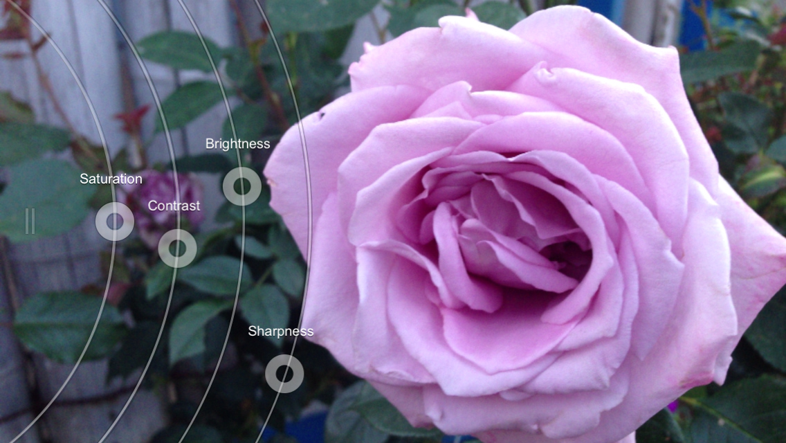 撮影画面で左から右にスワイプすると「Adjustments」モードとなる