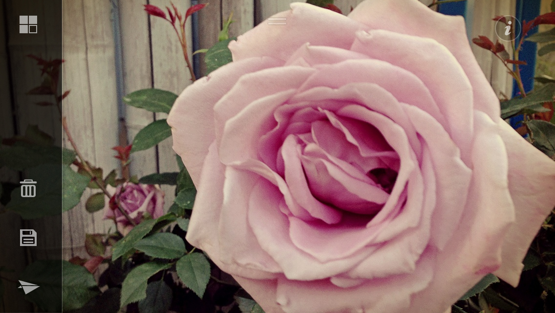 撮影したデータは、撮影画面で下から上にスワイプすることで確認可能。表示中のデータはFacebookやTwitterなどに投稿（紙飛行機アイコン）できるほか、カメラロールへの保存（フロッピーアイコン）も行なえる