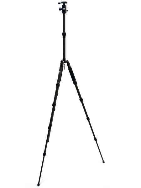 脚を反転したところ