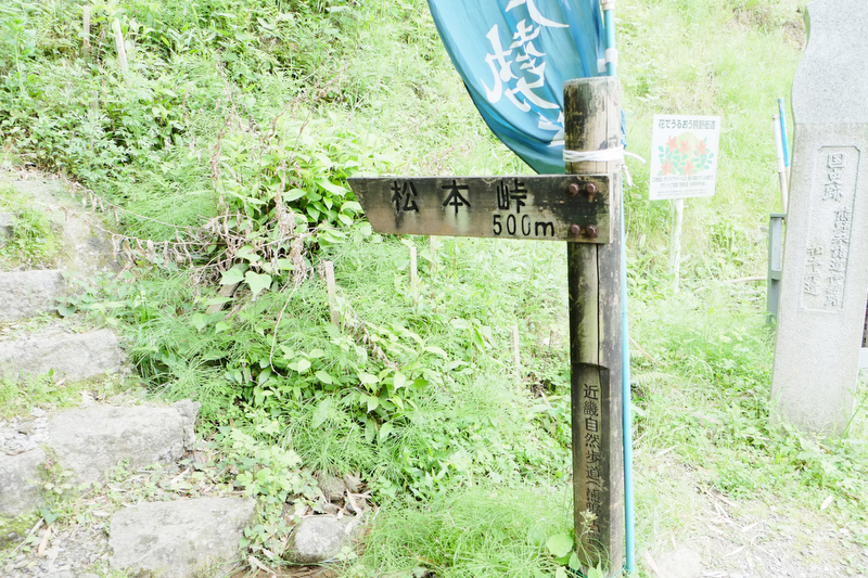 松本峠は、伊勢神宮に参拝した人々が熊野の神様を目指して歩いた参詣道の熊野古道伊勢路の最後の峠。標高が135mと低いため軽装でも安心して歩くことができます。美しい石畳道が残る熊野古道です。