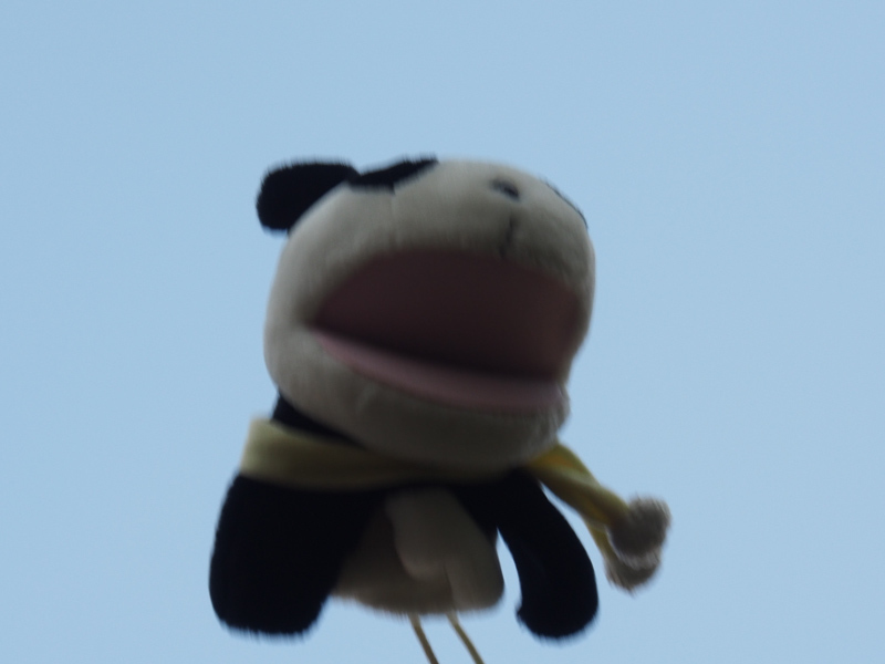 例えばこれはぬいぐるみの中にiPhoneを入れて放り投げた写真だが、人間も同様に、iPhoneを手に持ったりポケットに入れたりしてジャンプすればシャッターが切れる。ちょっと練習が必要だが、やってみると意外に楽しい