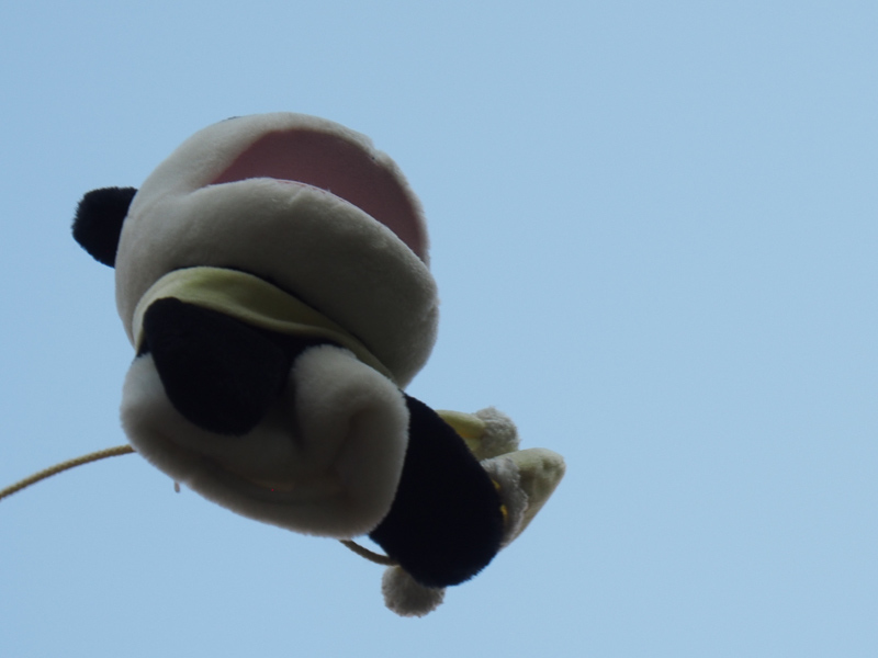 例えばこれはぬいぐるみの中にiPhoneを入れて放り投げた写真だが、人間も同様に、iPhoneを手に持ったりポケットに入れたりしてジャンプすればシャッターが切れる。ちょっと練習が必要だが、やってみると意外に楽しい