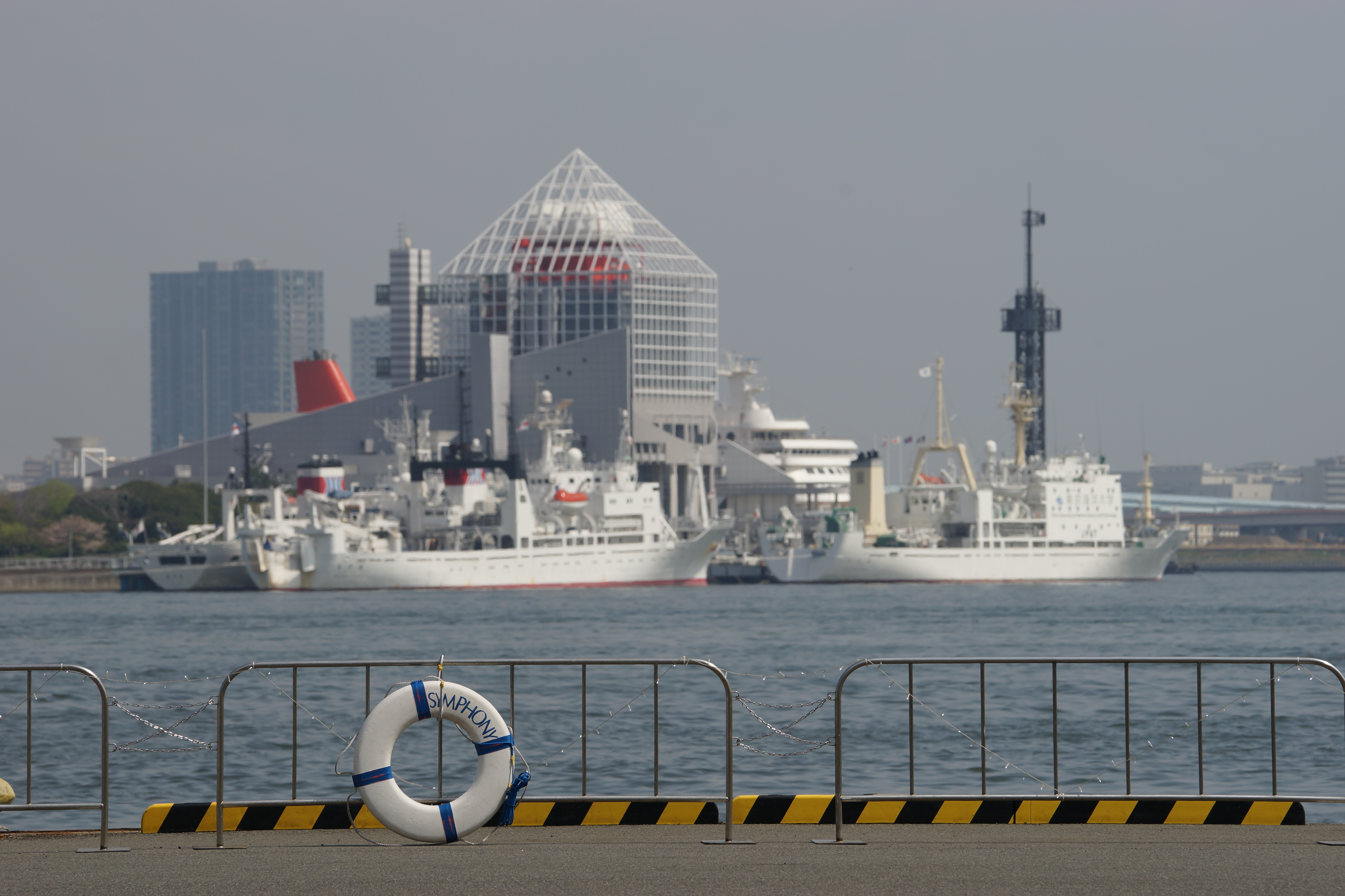 α99 / 70-400mm F4-5.6 G SSM II / 約4.5MB / 6,000×4,000 / 1/320秒 / F9 / 0EV / ISO100 / 絞り優先AE / WB：オート / 230mm