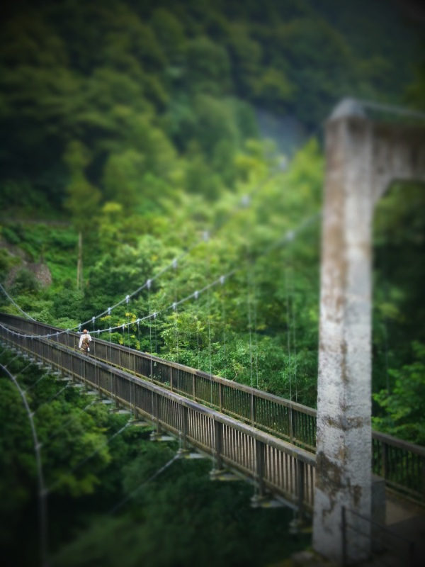 線のぼかしを使い、全体に暗い色調にしました