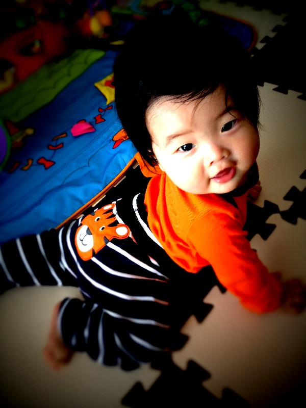 ピントを顔とお尻のトラに合わせて一眼レフカメラ風に加工