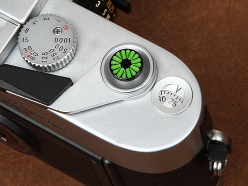 9116/soft button flower green