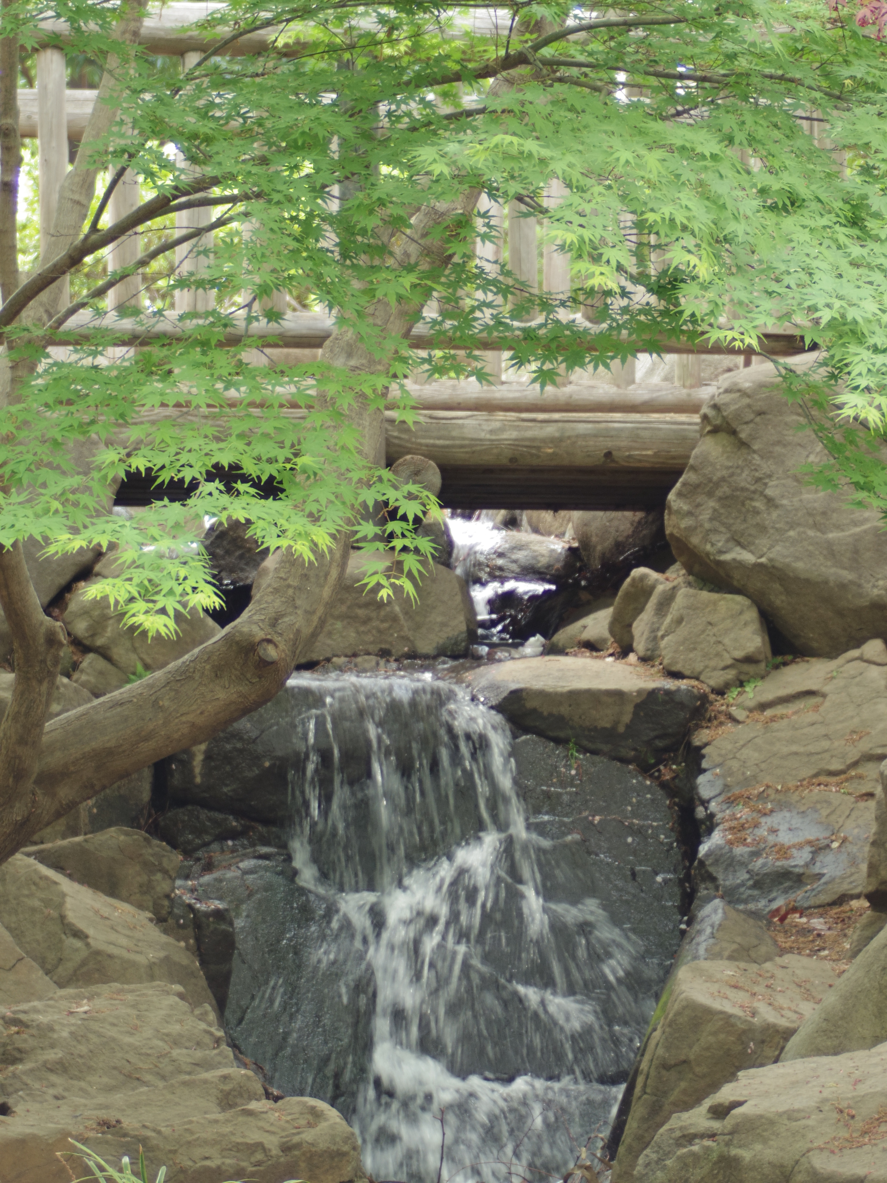 手持ちで遠景をスナップ的に撮るなら、シャッタースピードが速くなる絞り開放が安全。PENTAX Q10 / DA 40mm F2.8 XS / 約4.6MB / 4,000×3,000 / 1/50秒 / 絞り目盛り：0 / 0EV / ISO100 / 絞り優先AE / WB：オート / 40mm