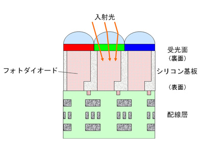 同発明の構造イメージ（ニュースリリースより）