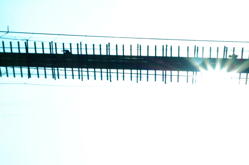 タイトル：空を行く人　撮影者：ひなさん　カメラ歴：1年　使用カメラ：ソニーNEX-F3