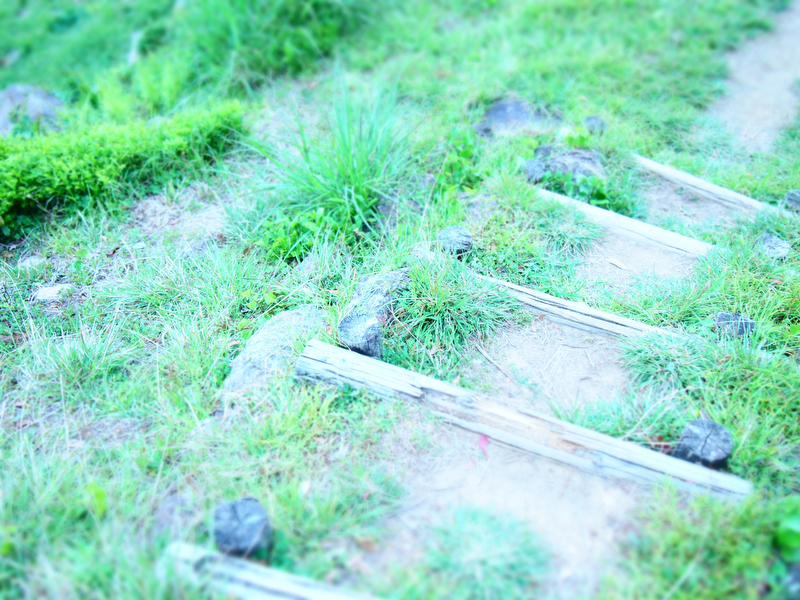 タイトル：さんぽ　撮影者：アキさん　カメラ歴：1年　使用カメラ：OLYMPUS PEN mini E-PM1