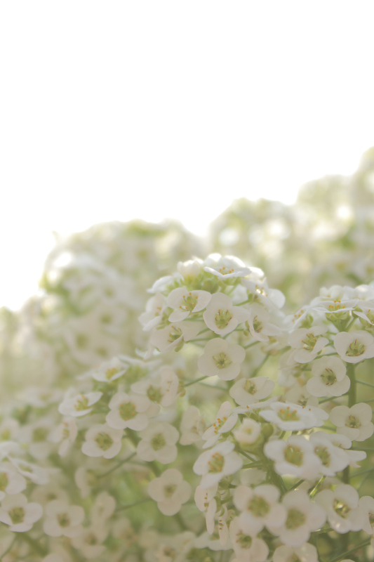 タイトル：初エアリー!!　撮影者：tamamiさん　カメラ歴：5年　使用カメラ：キヤノンEOS Kiss X5