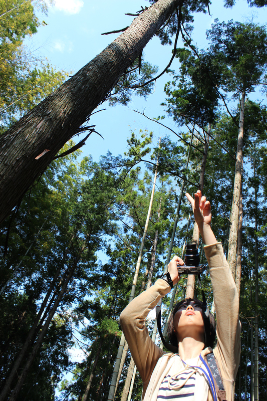 タイトル：untitled　撮影者：はるちゃんさん　カメラ歴：1年　使用カメラ：キヤノンEOS Kiss X5