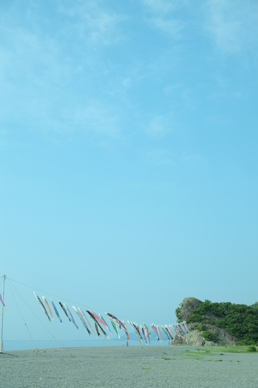 タイトル：上に向かって　撮影者：すみえさん　カメラ歴：3年　使用カメラ：FUJI FILM X-E1