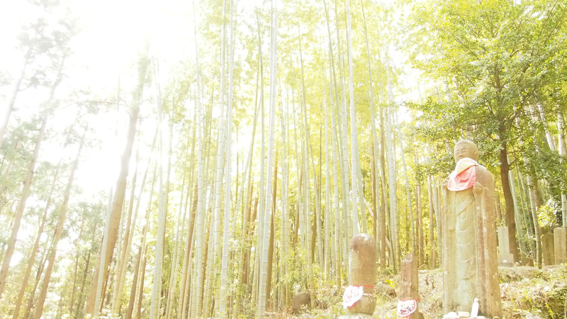 タイトル：みまもる　撮影者：*masayo*さん　カメラ歴：3年　使用カメラ：OLYMPUS OM-D E-M5