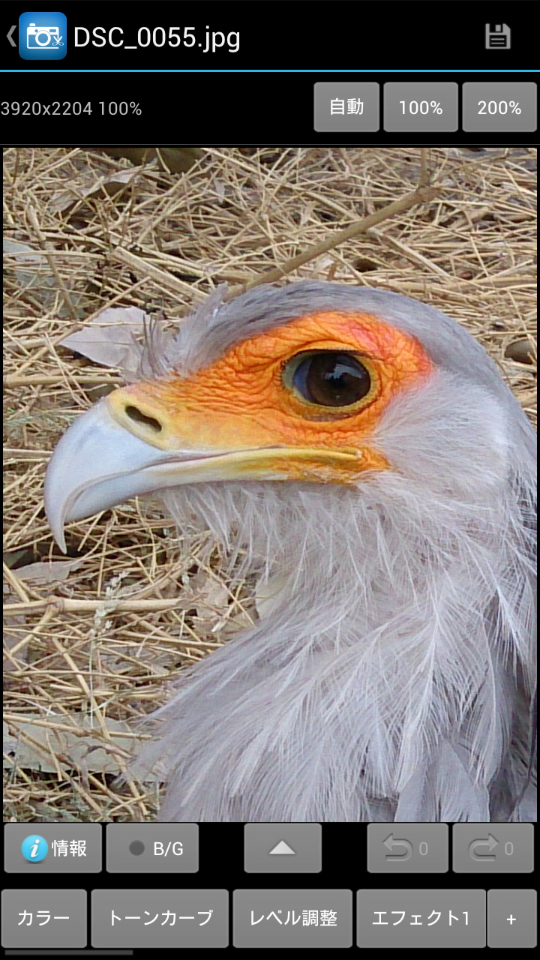 「100％」アイコンをタップすると等倍表示になる