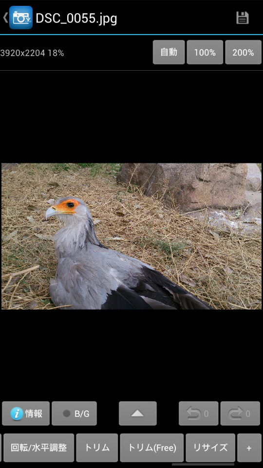 「エフェクト」とは別に、「回転/水平調整」や「トリミング」、「リサイズ」などの加工機能は独立して用意されている