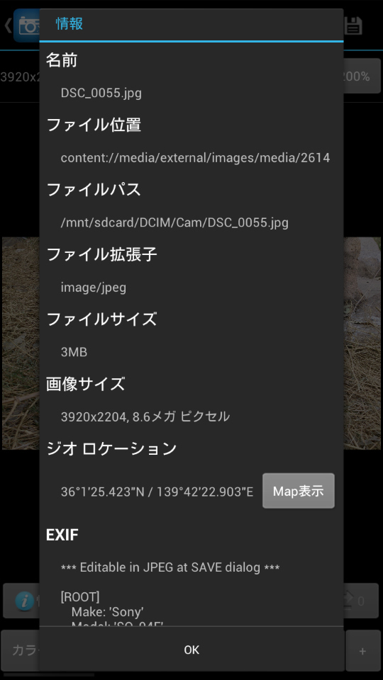 データ情報、ジオタグ、Exifなどの情報表示にも対応する