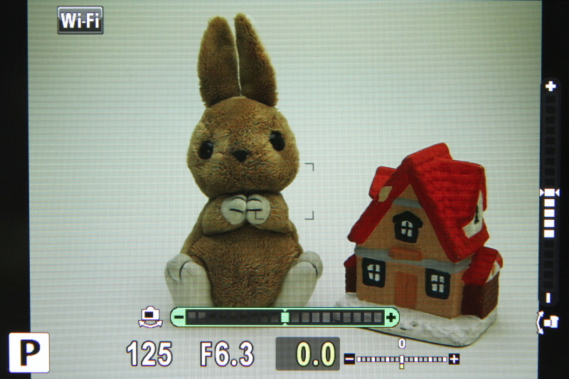 電子水準器を表示